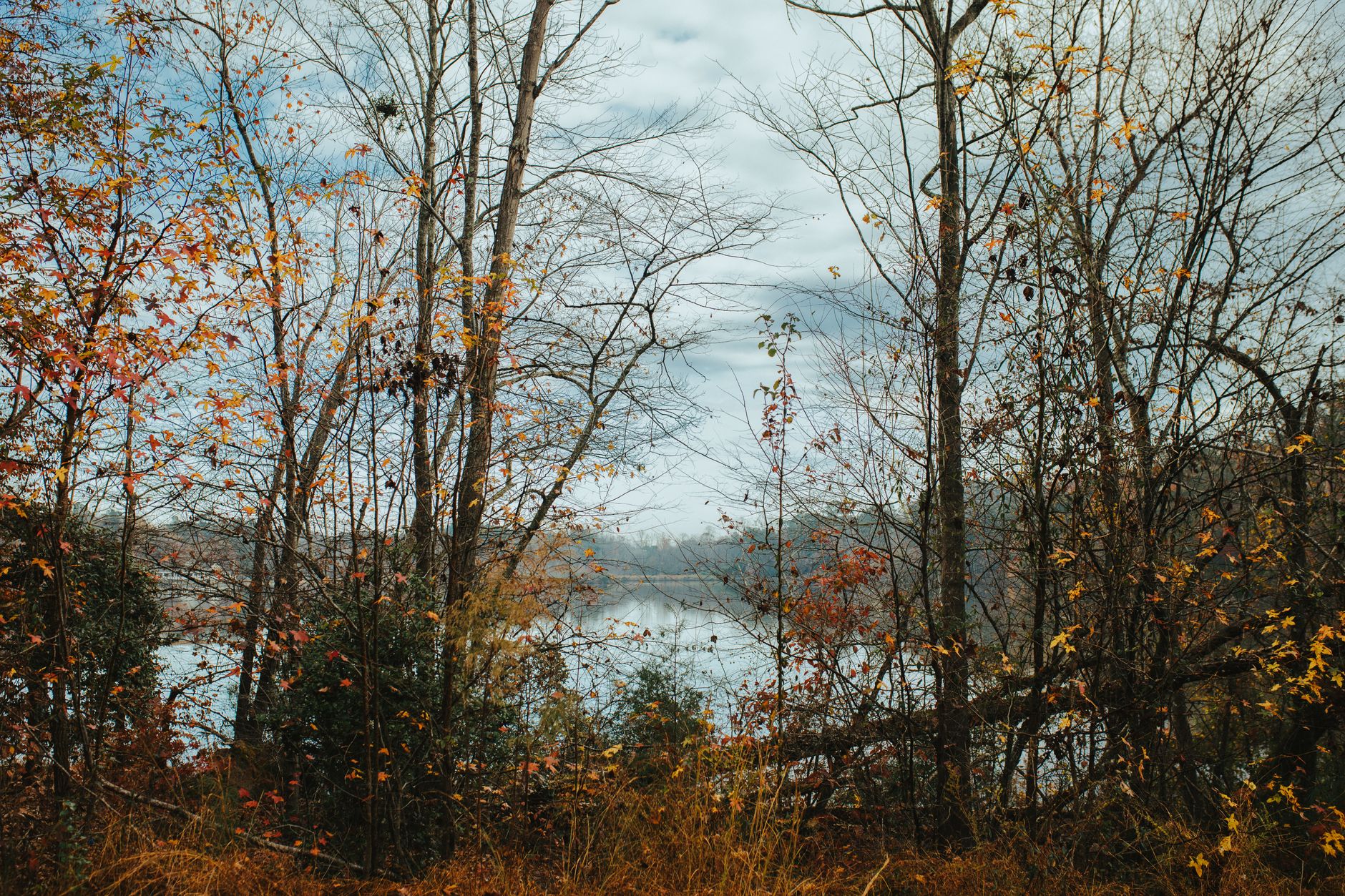 Lake Anna in Virginia
