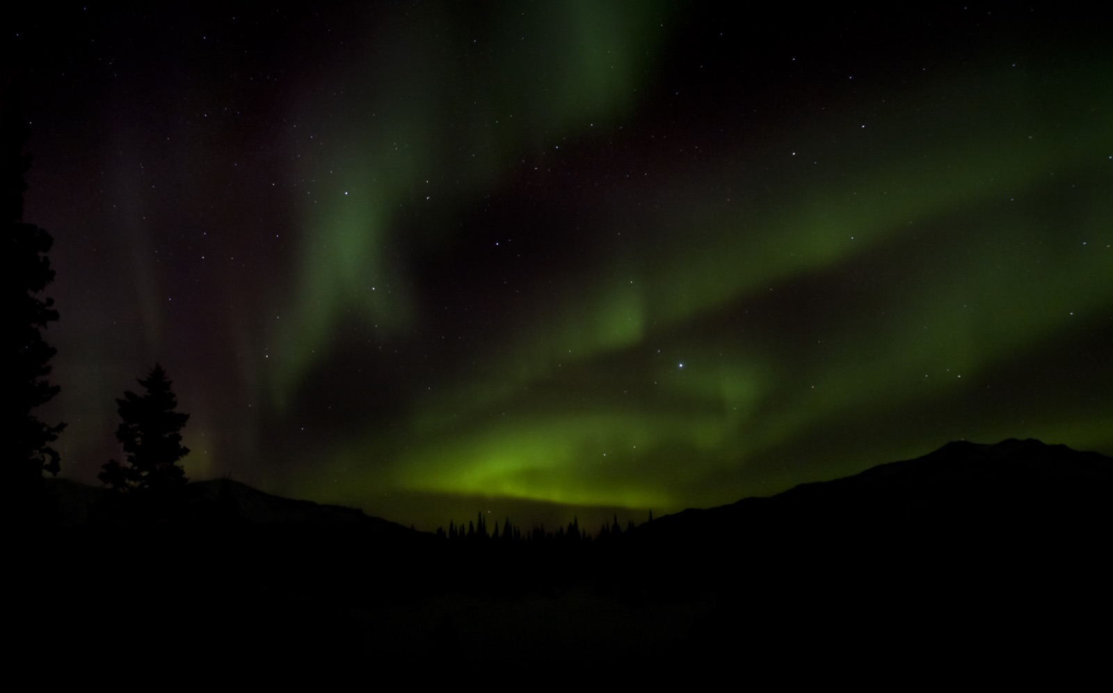 Aurora over Denali National Park, Alaska