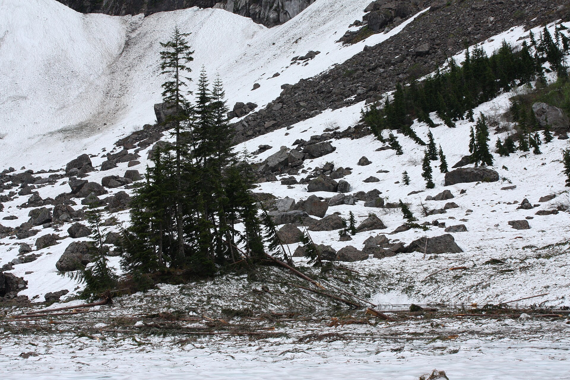 An avalanche runout at the foot of a steep snow and rock slope, with snapped conifers bent downhill and a mat of broken branches spread across the snow