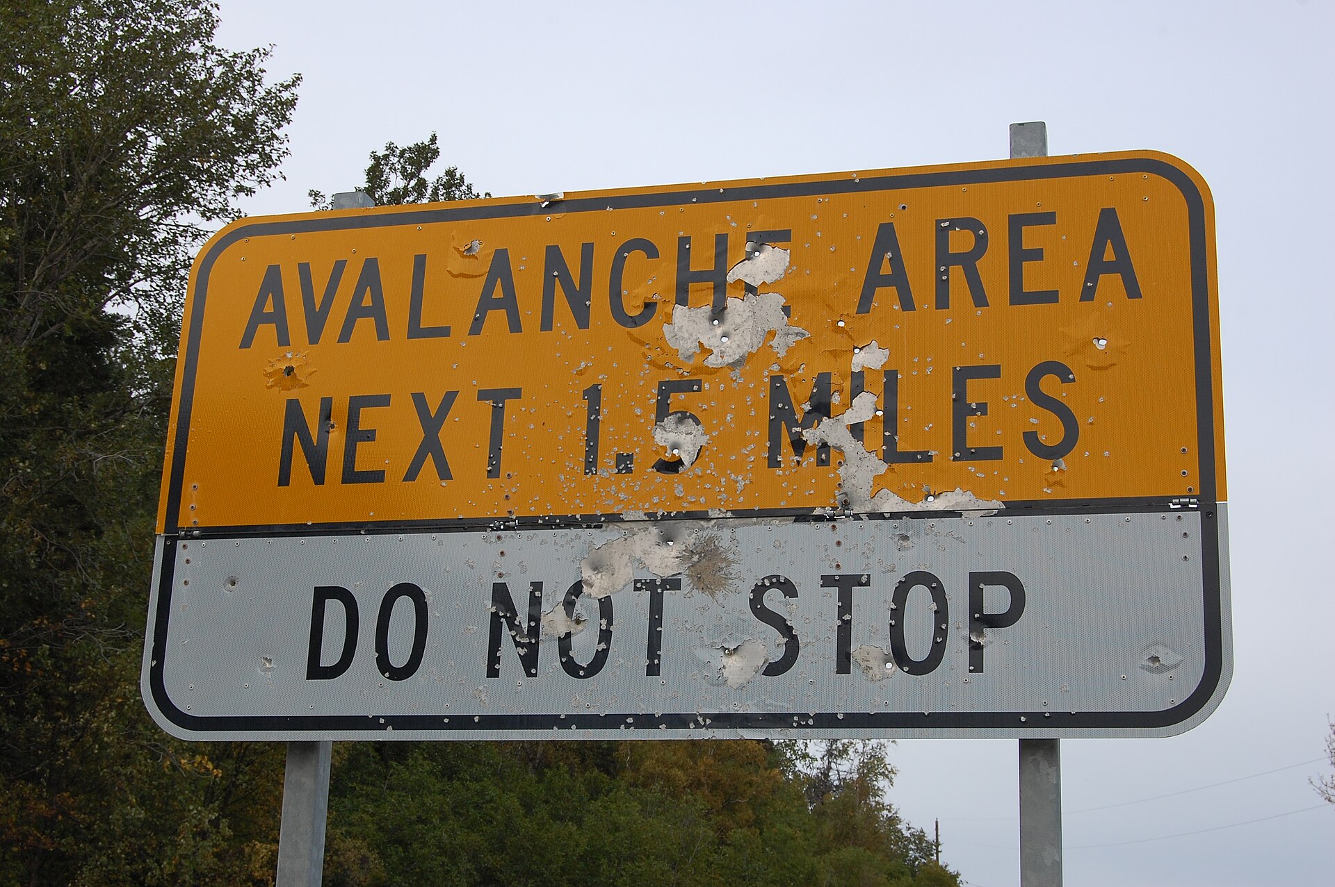A weathered orange highway sign reading AVALANCHE AREA NEXT 1.5 MILES above a white panel reading DO NOT STOP, pocked with bullet holes, photographed against summer trees