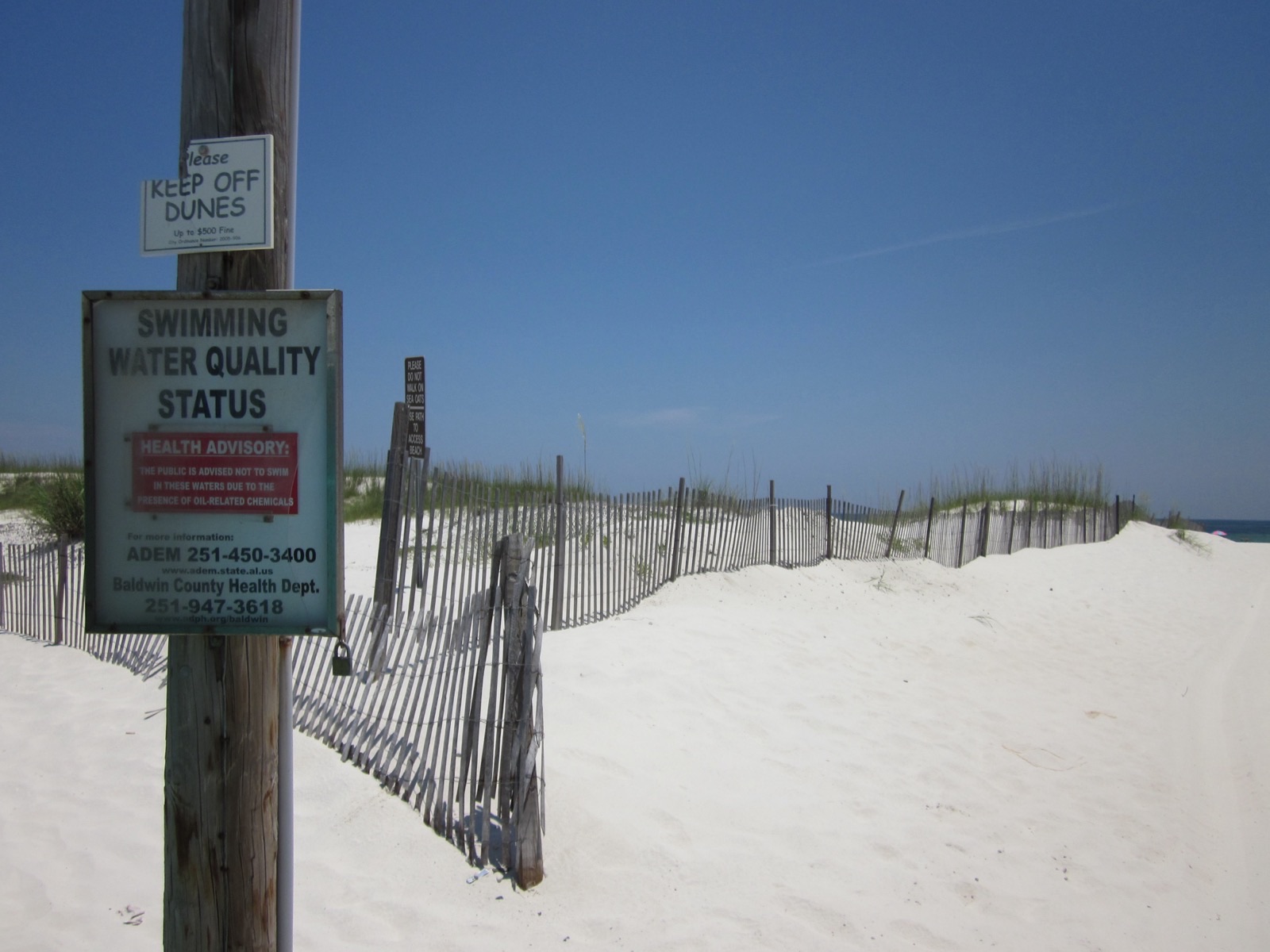 A weathered sign reading Swimming Water Quality Status at a fenced dune crossing on a white sand Gulf beach, with a red health advisory placard and two agency phone numbers