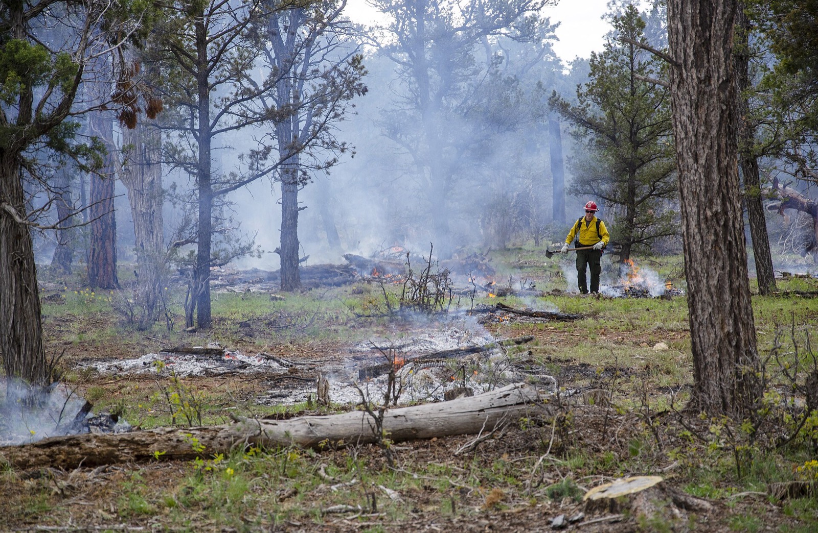 Piles of brush burnt down to rings of white ash on a forest floor with smoke drifting through the pines, a single crew member in yellow standing at a distance watching them