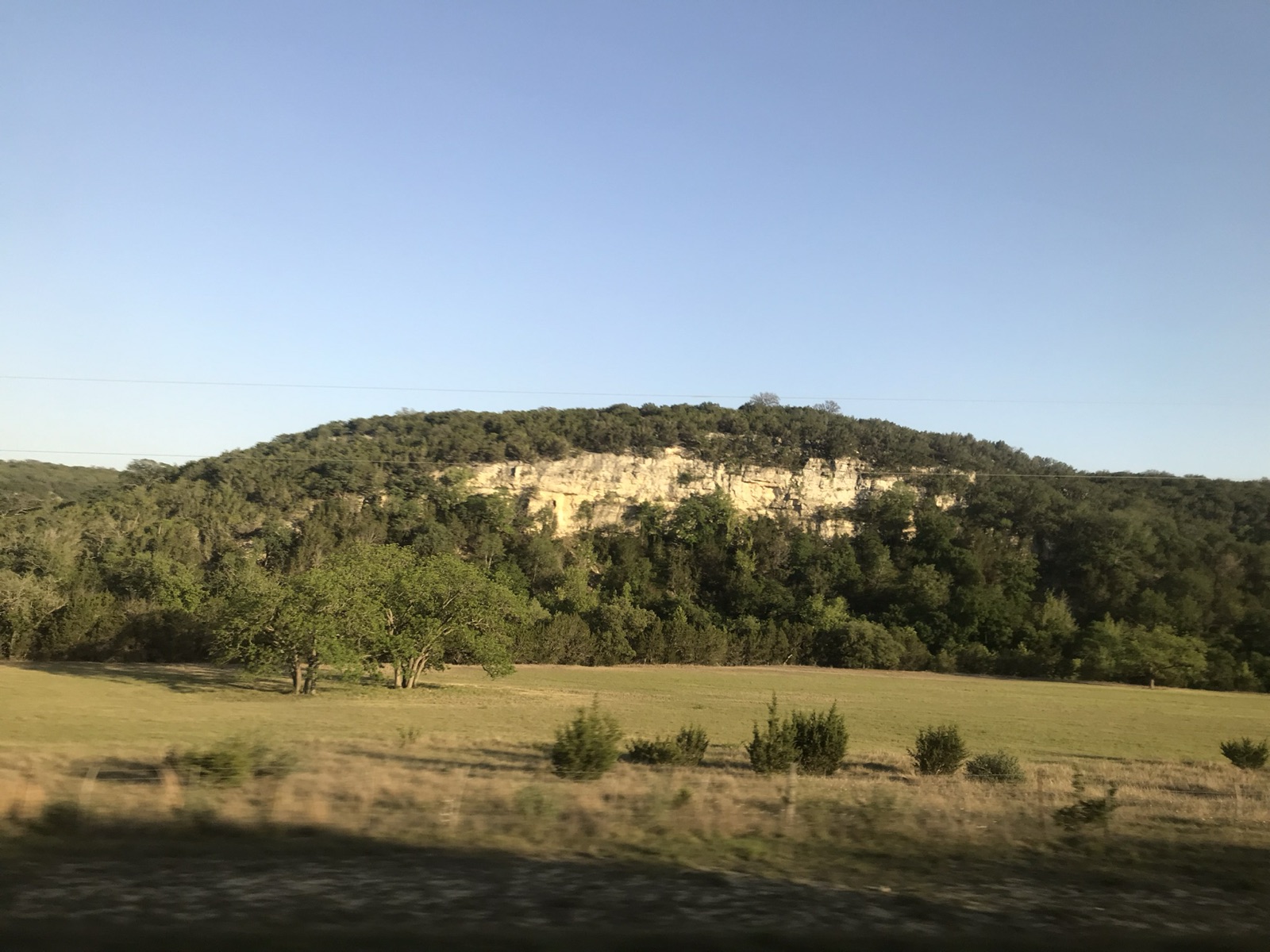 Texas Hill Country grass and live oaks near Medina