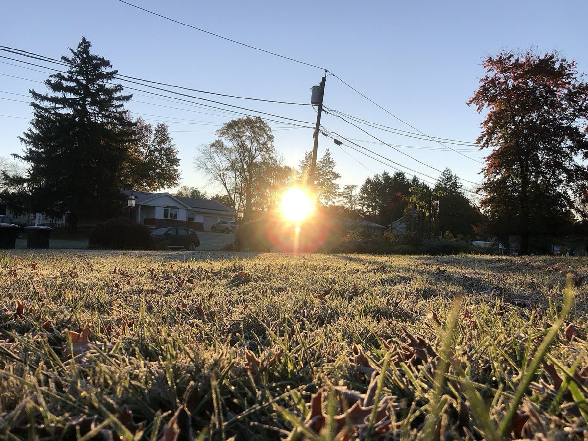 Frost on the grass of a suburban lawn in Ewing Township, New Jersey, lit by the low early morning sun