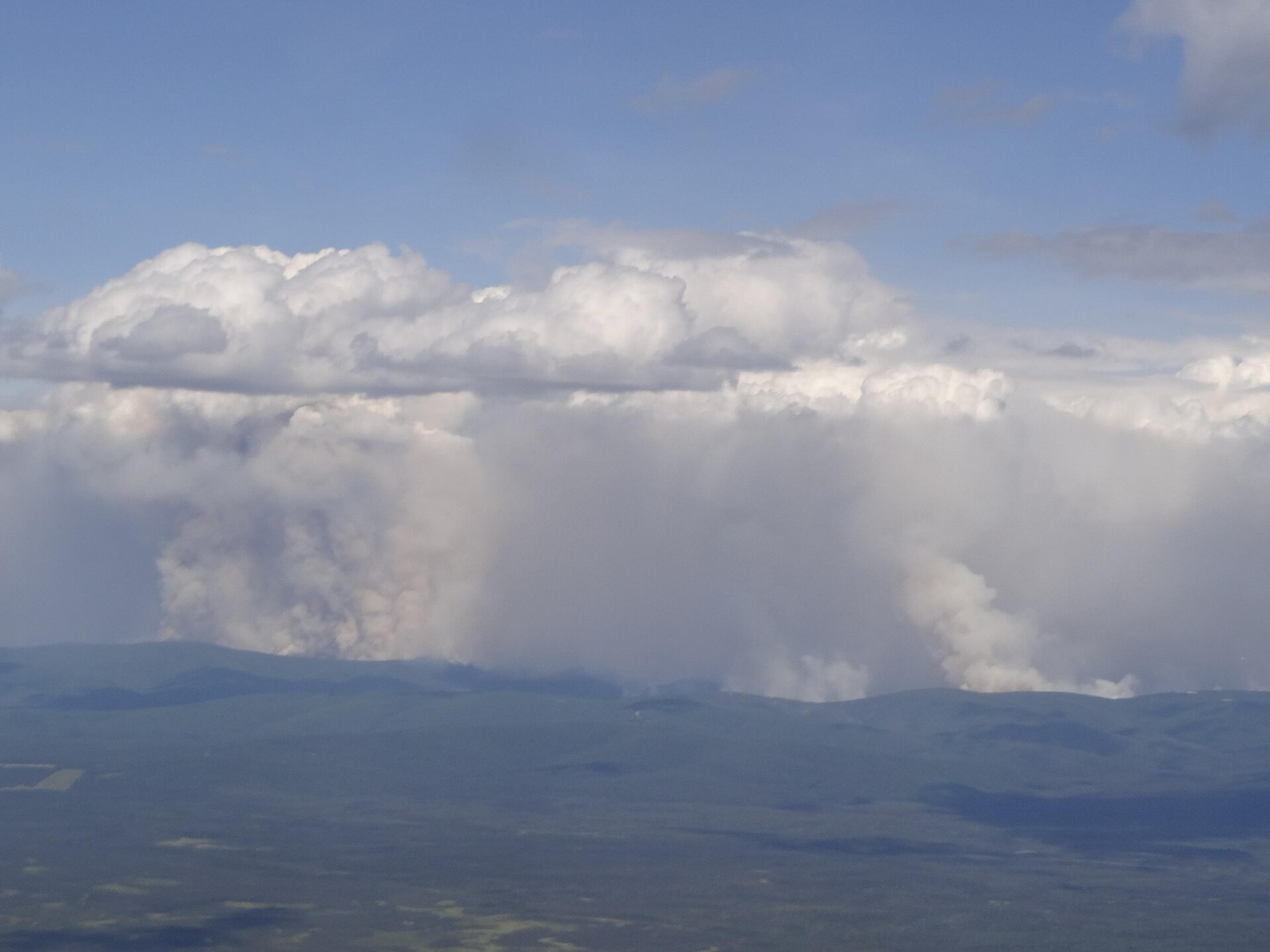 An aerial view of several tall smoke columns rising from forested hills into a blue sky with towering white clouds above them