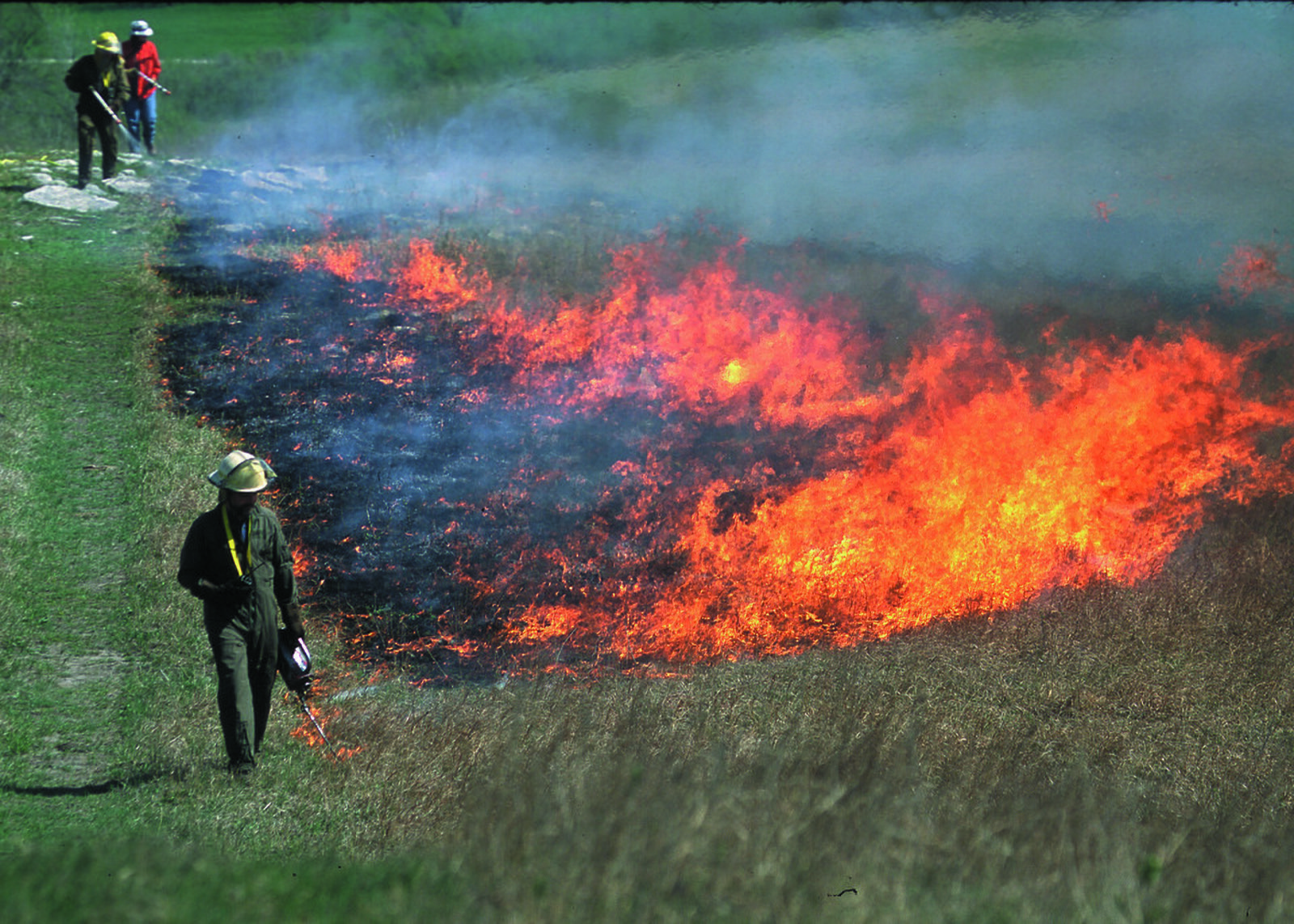 Firefighters walking a drip torch line along a grassland fire front, flames running through dry prairie grass with green pasture behind