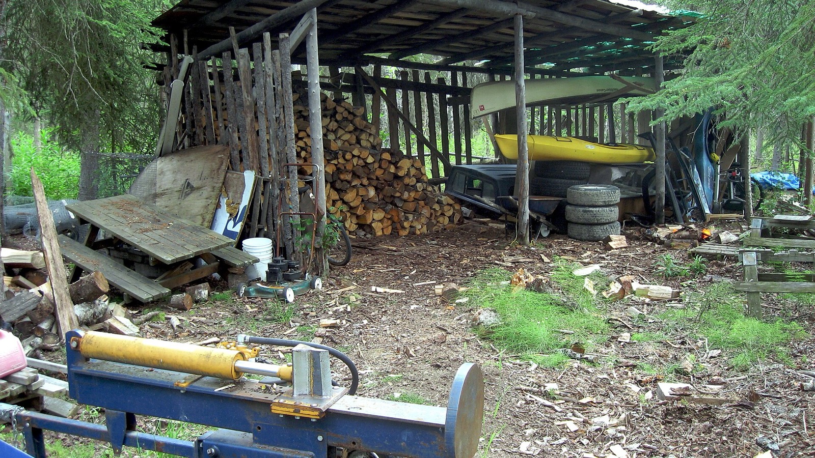 An open pole woodshed in a spruce clearing, one bay filled with stacked cordwood, a hydraulic log splitter in the foreground