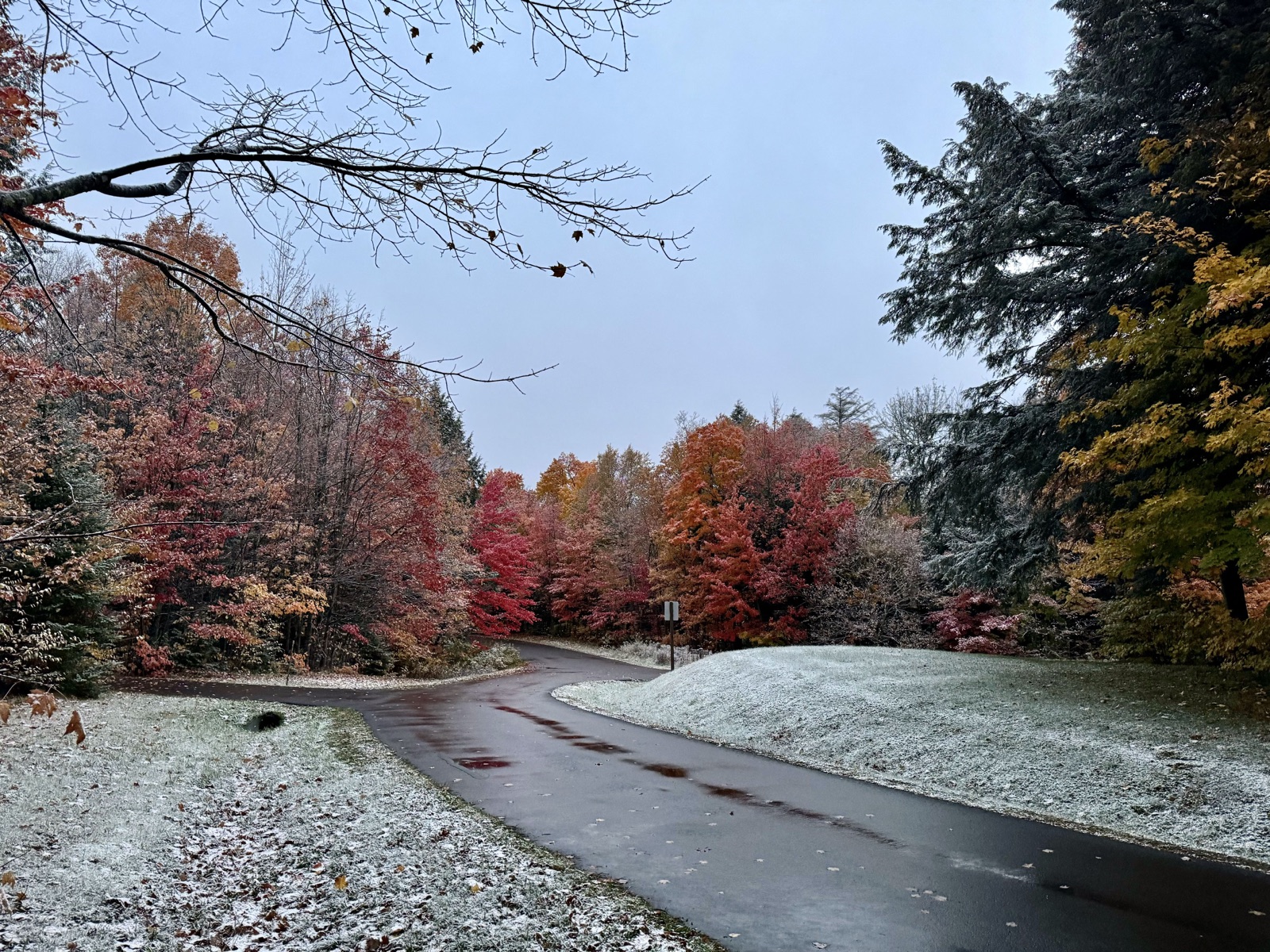 First snowfall of the season dusting autumn foliage along a forest road in the Ottawa National Forest, Michigan