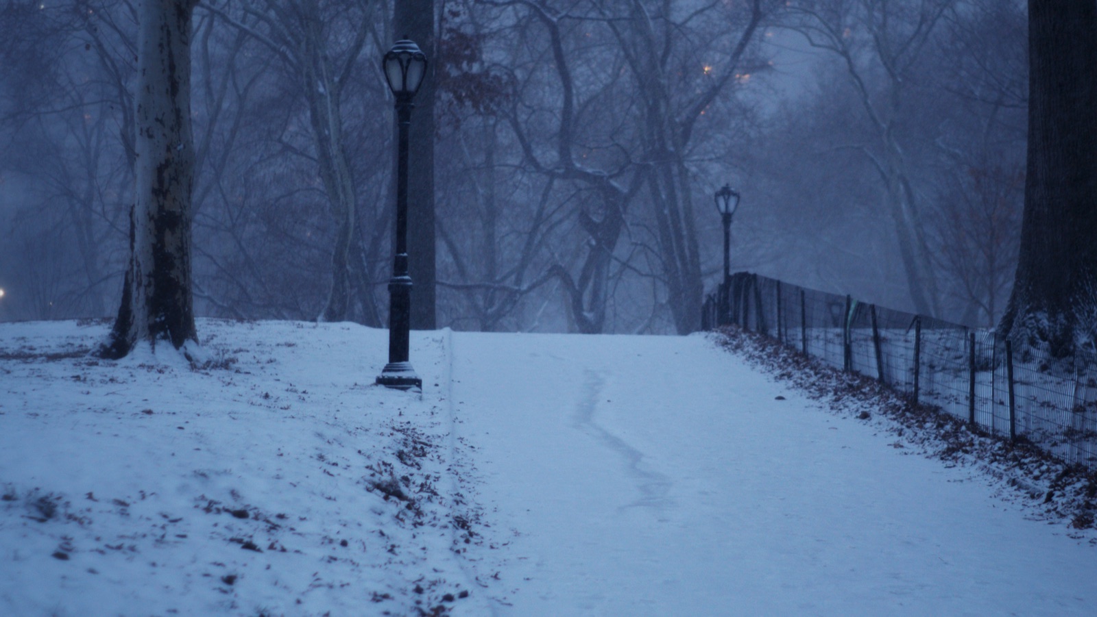 Fresh first-of-season snow on a lamplit Central Park path at dusk
