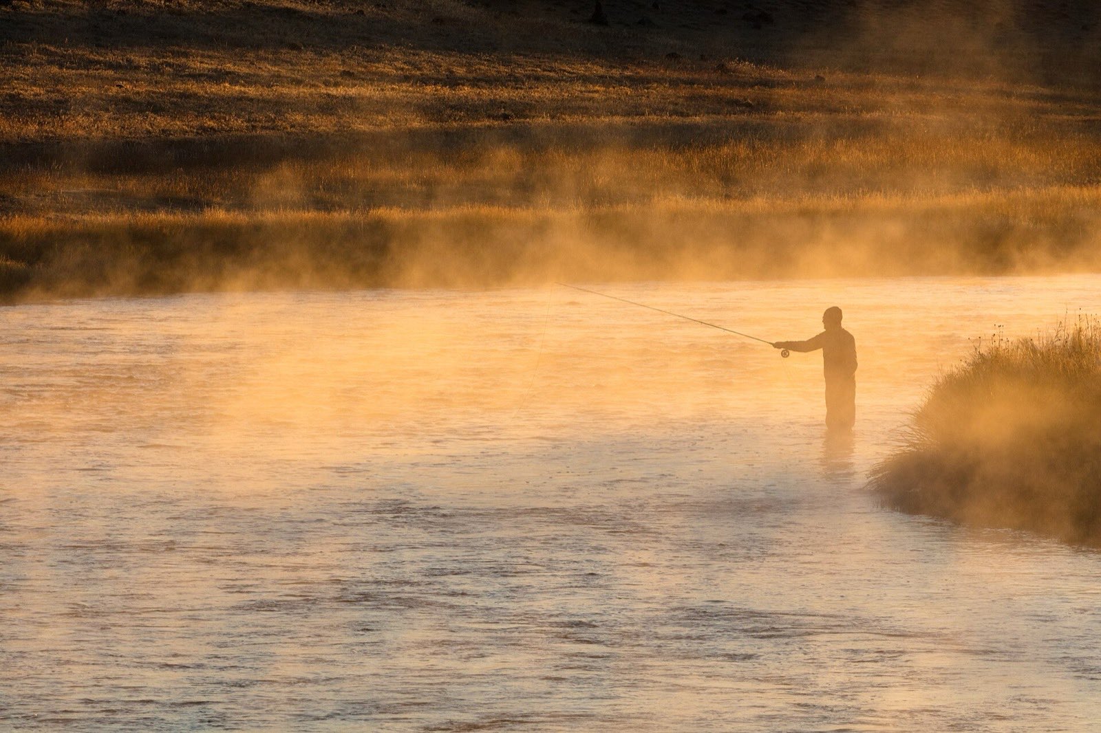 A fly angler standing in a river at sunrise, casting through gold mist rising off the water, with a grassy bank behind
