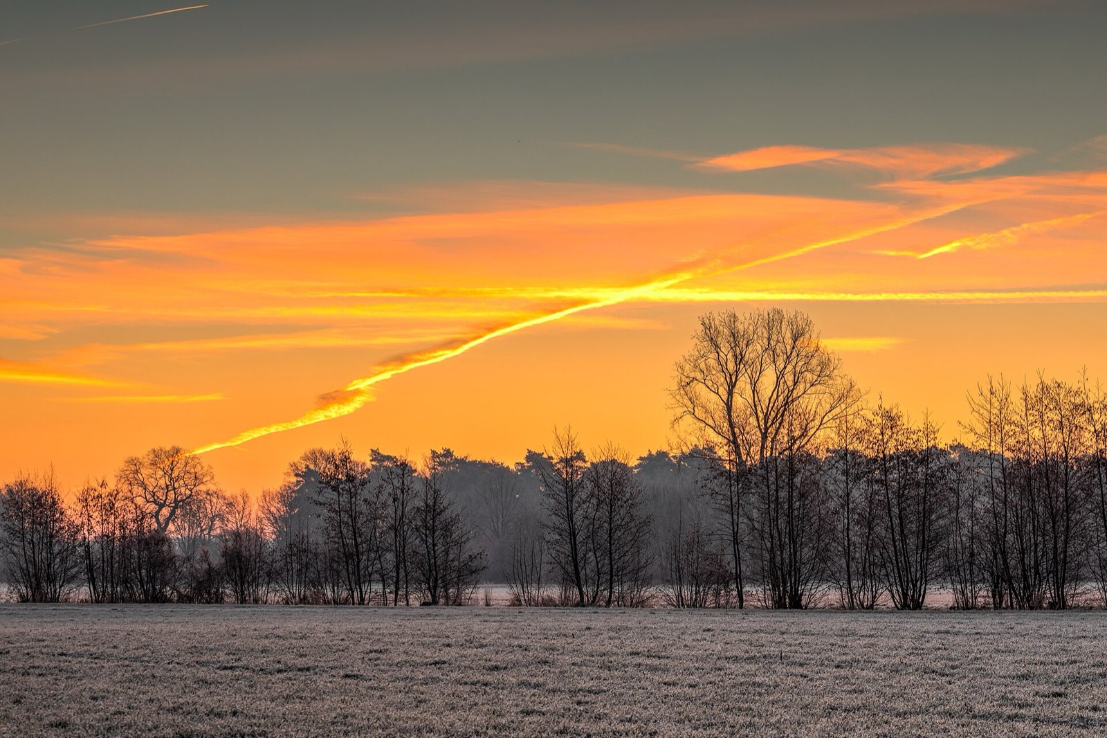 Frosted field at sunrise