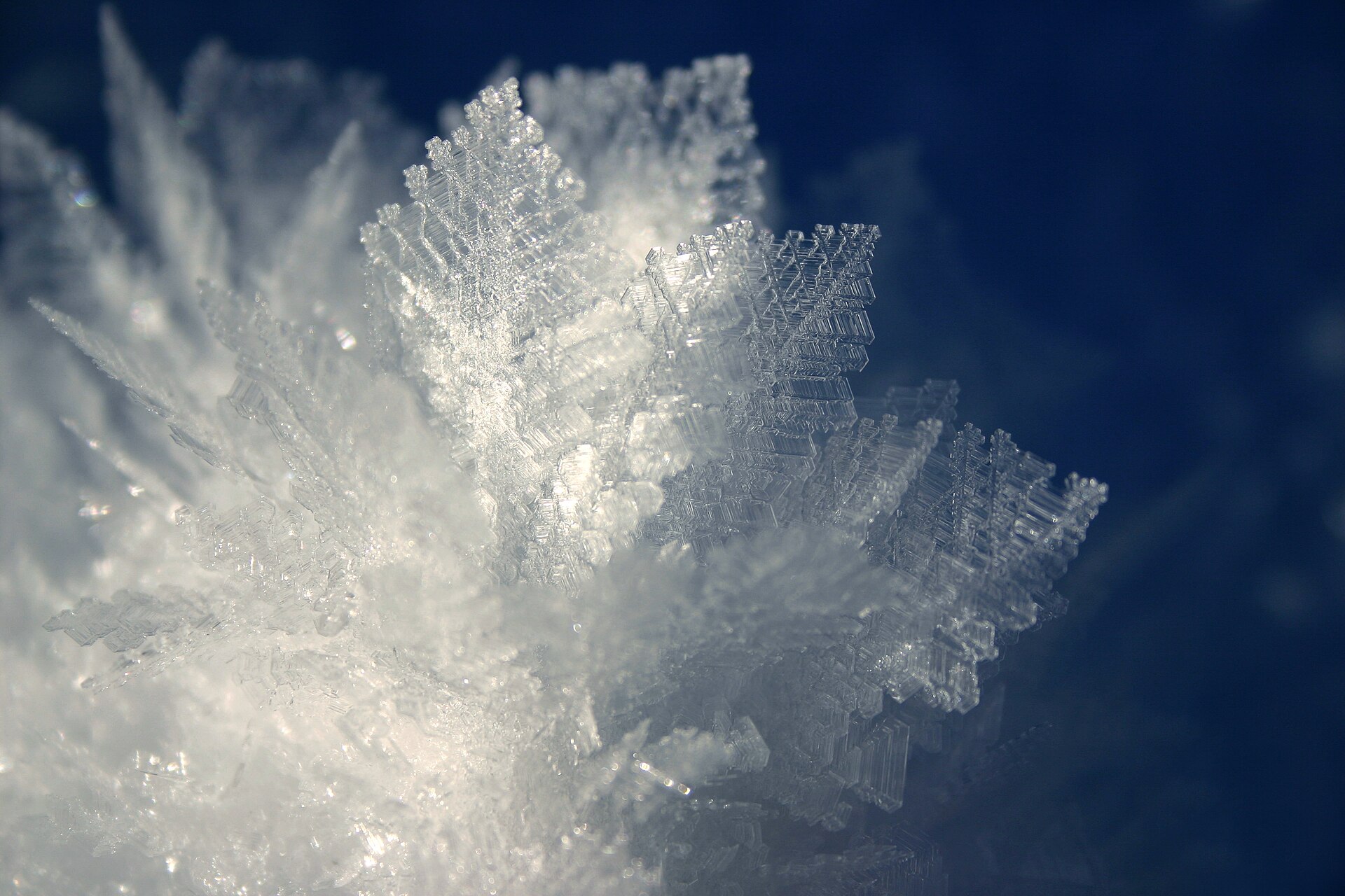 Macro of feathery ice crystals