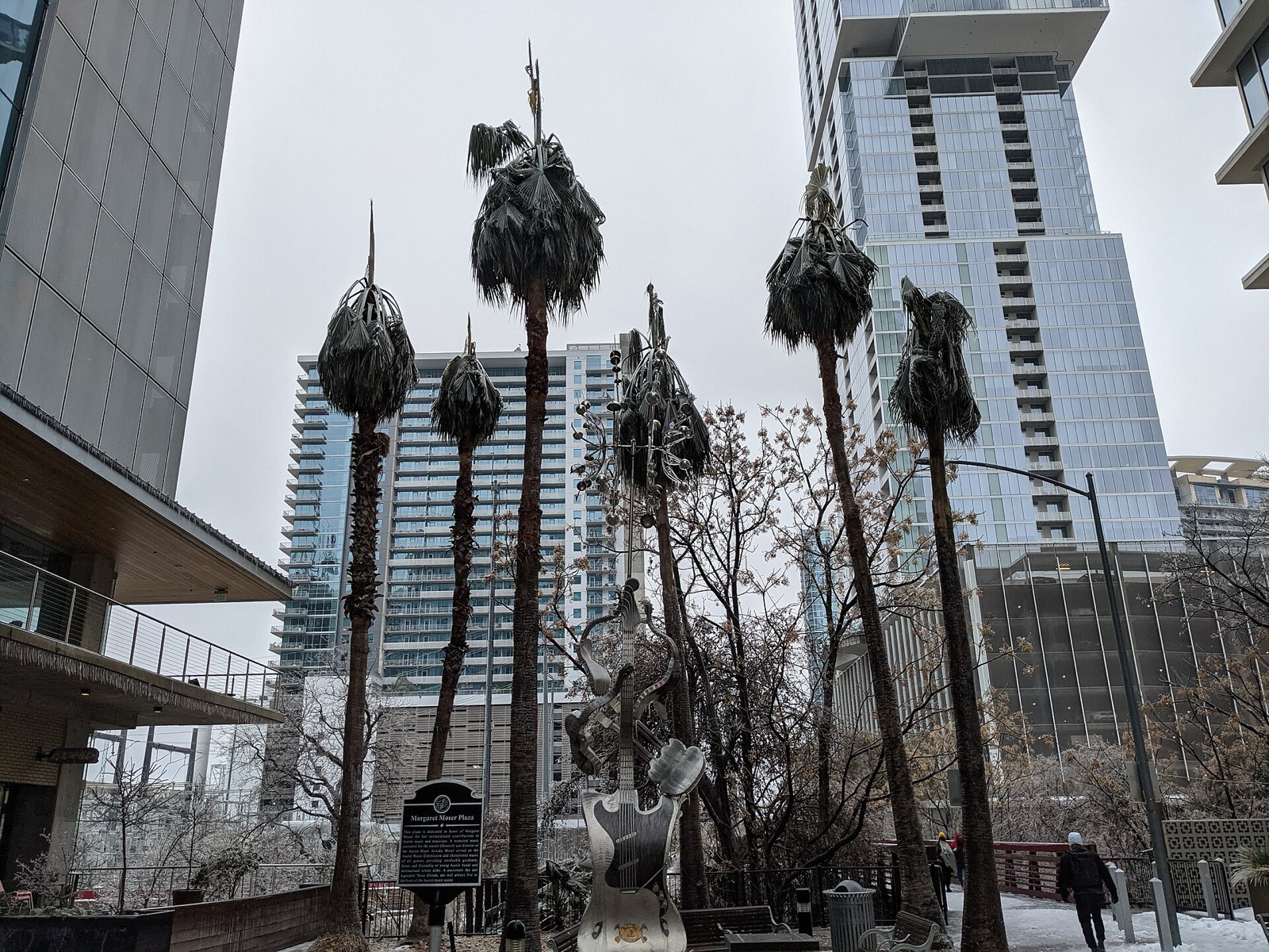 Palm trees with collapsed, ice-killed fronds in a downtown Austin plaza, with glass high-rise towers behind and snow on the ground