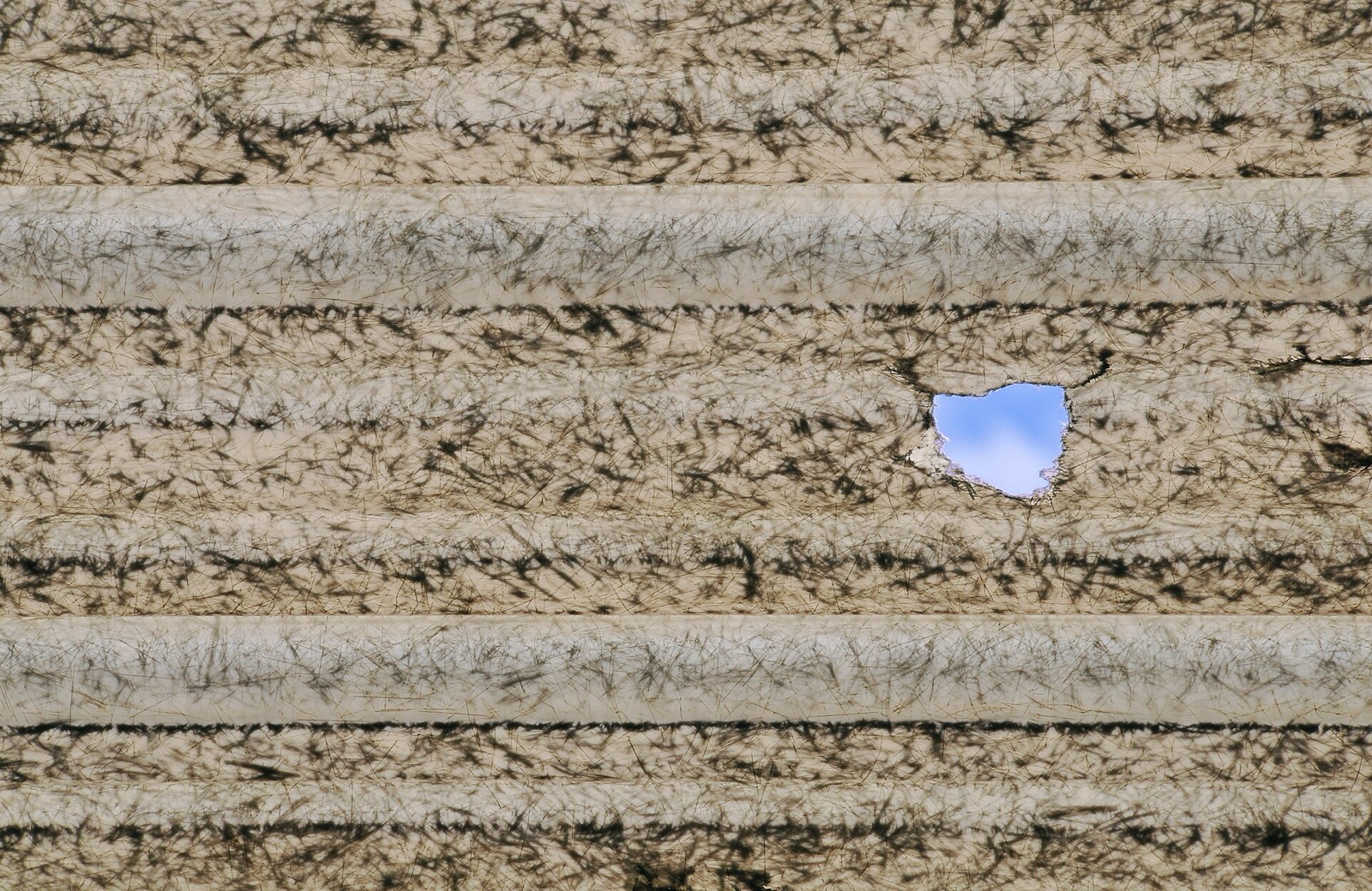 A corrugated translucent fibreglass roof panel with a ragged hole punched clean through it by a hailstone, blue sky visible through the gap