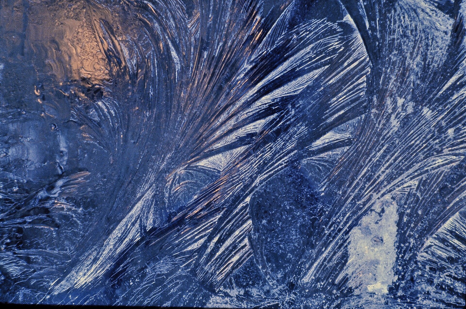 Fern shaped ice crystals spread across the inside of a window pane, lit blue and amber