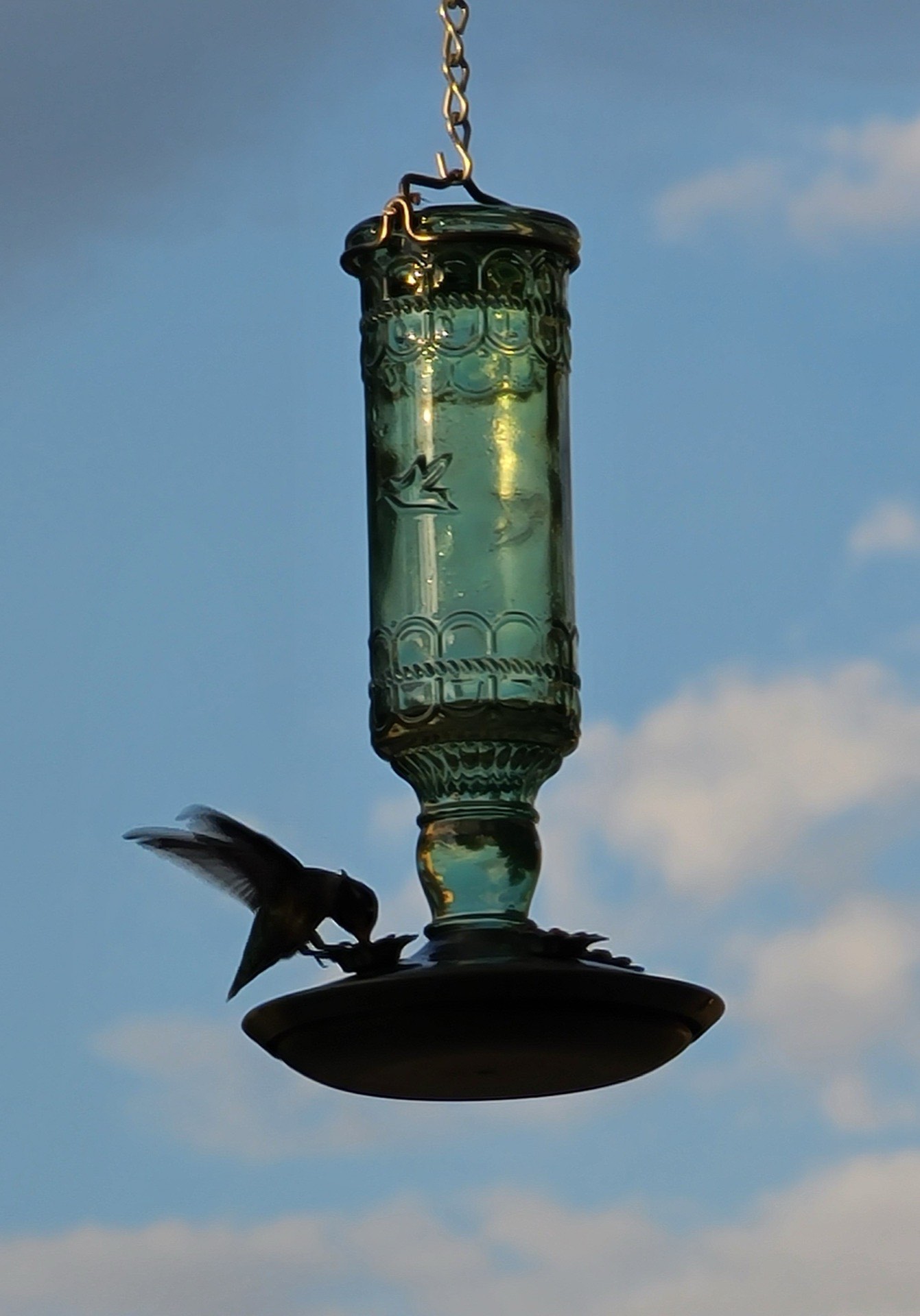 Hummingbird drinking at a glass bottle feeder against an open sky