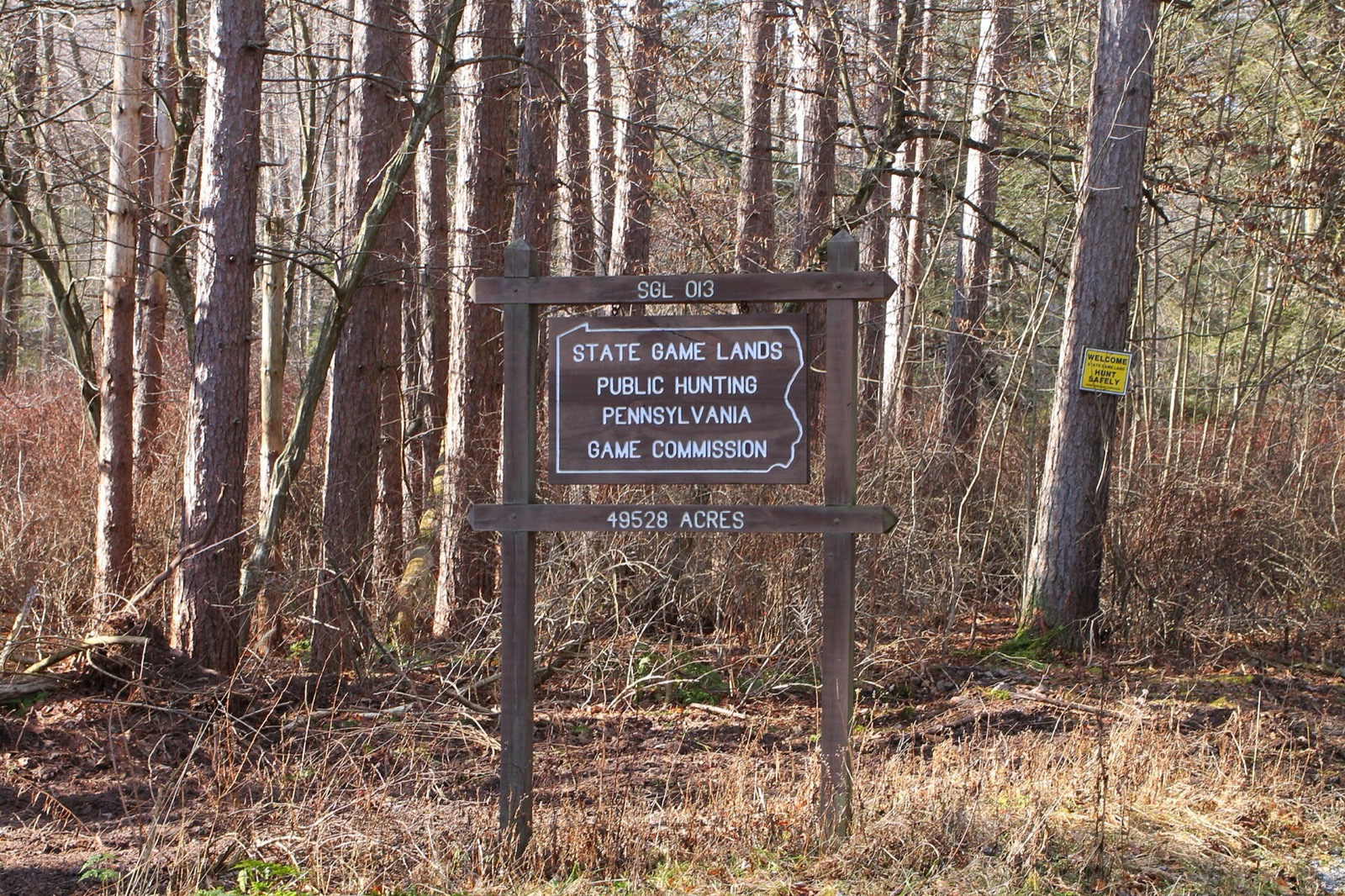 A brown wooden state agency sign standing in bare late season woods, reading SGL 013, STATE GAME LANDS, PUBLIC HUNTING, PENNSYLVANIA GAME COMMISSION, and beneath it 49528 ACRES, with a small yellow notice nailed to a pine at the right