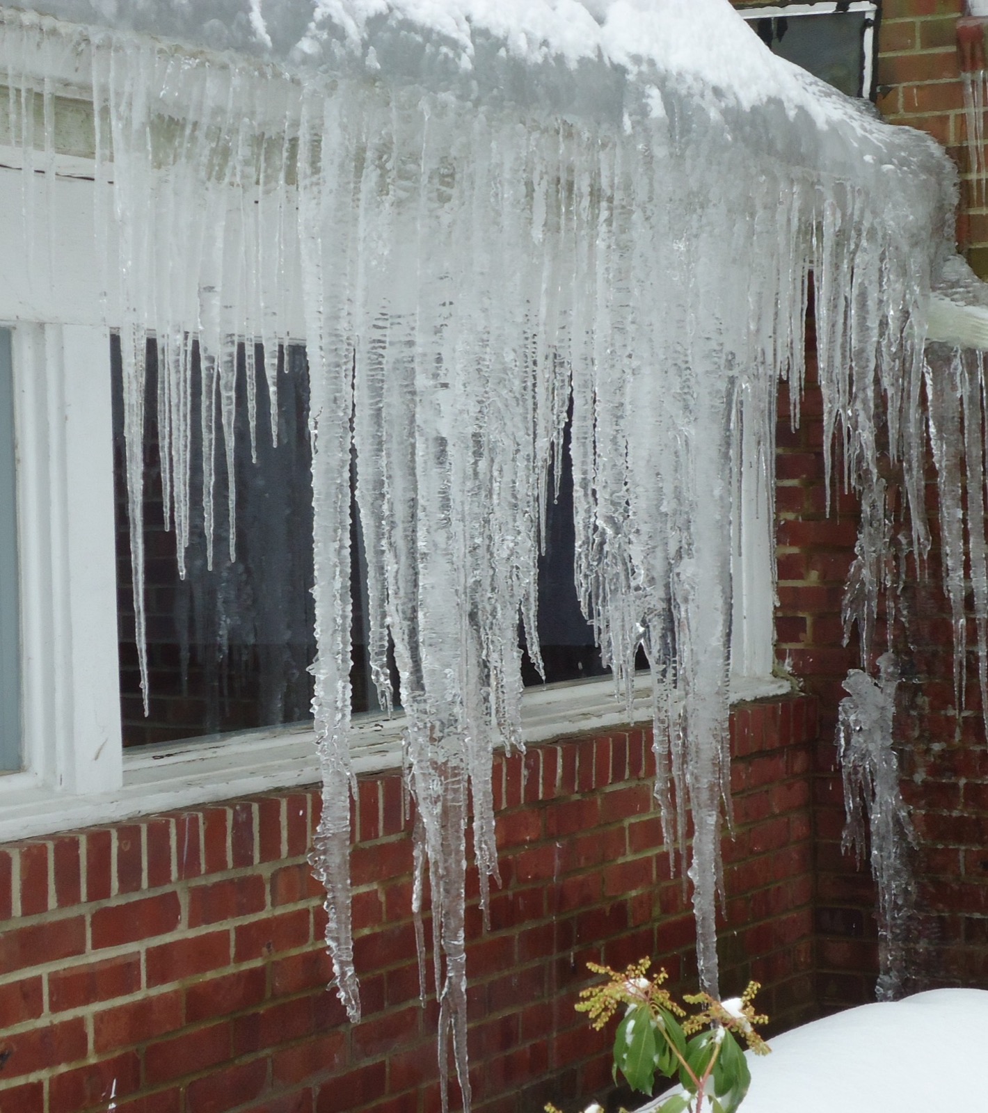 A dense row of long icicles hanging from the gutter of a brick building after a snowstorm