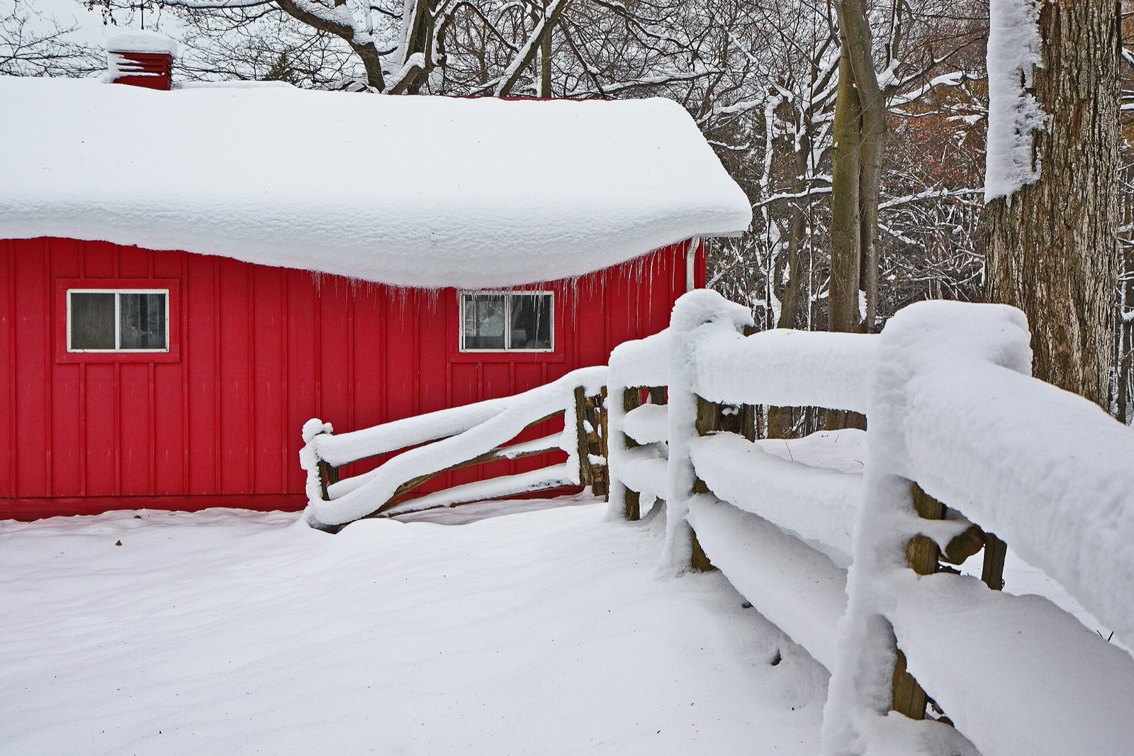 An unheated red outbuilding under a smooth unbroken cap of snow with only small icicles at the eave