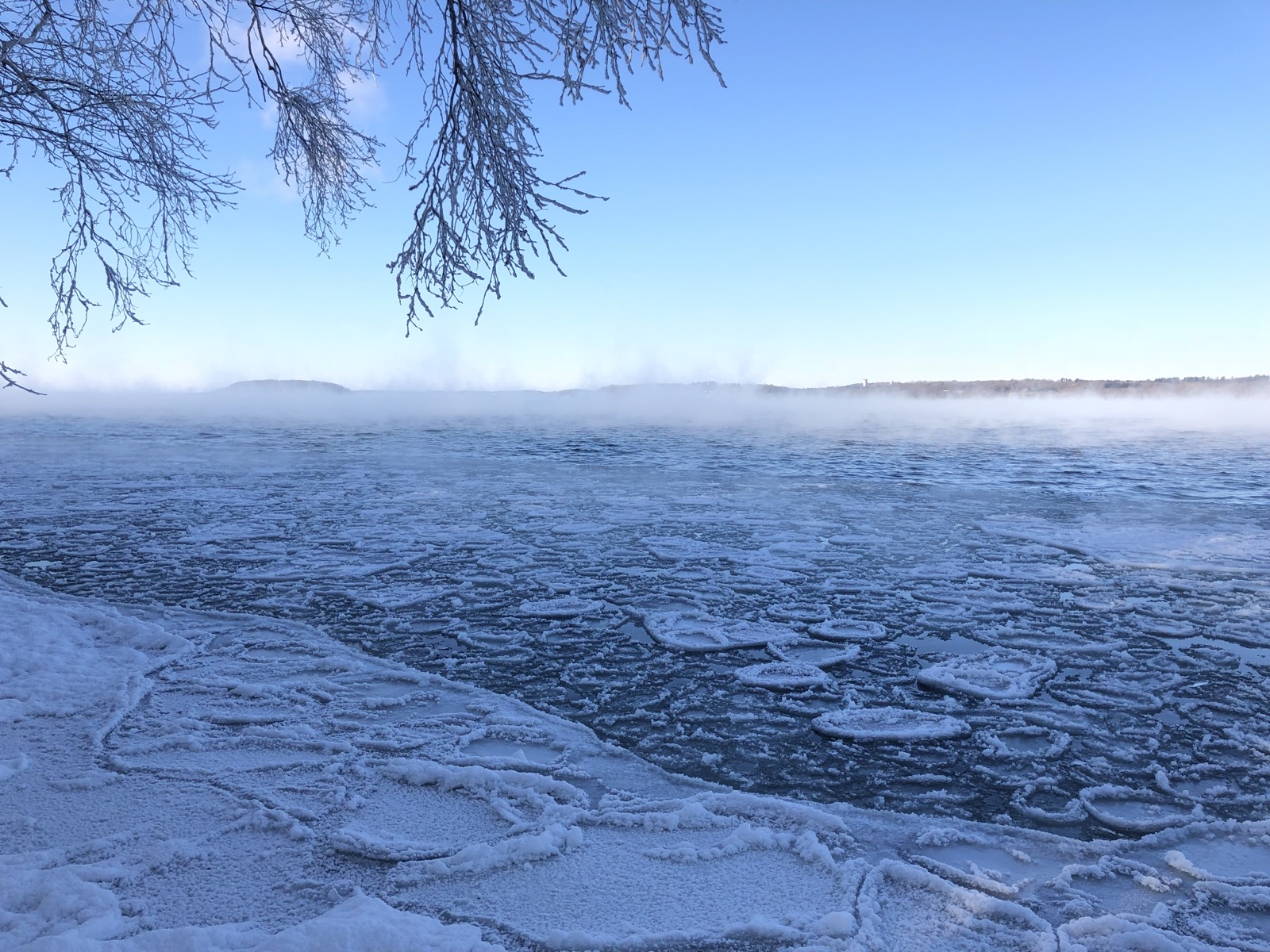 Rounded plates of new pancake ice packed across a lake surface with steam fog rising off the open water beyond and frost covered bare branches overhanging from above