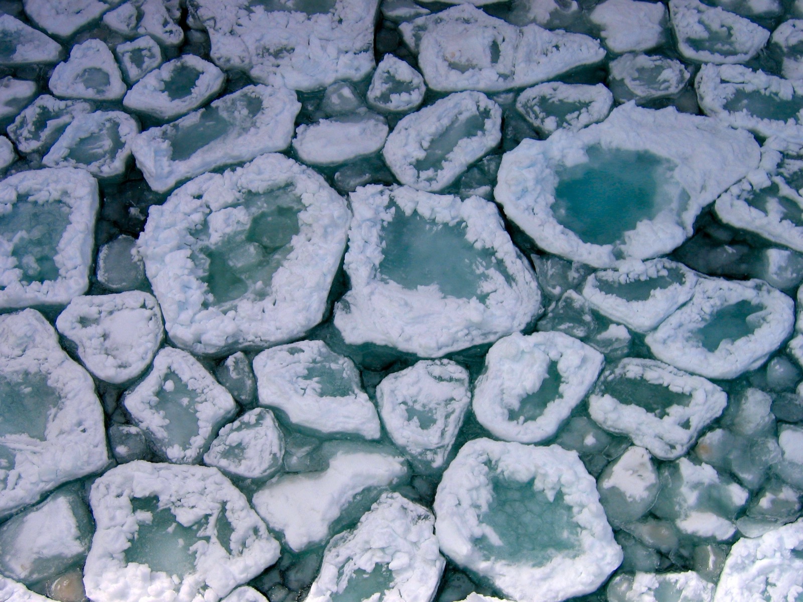 Overhead view of pancake ice on Lake Superior, rounded plates of new ice with raised white rims and pale turquoise centres packed edge to edge across the water
