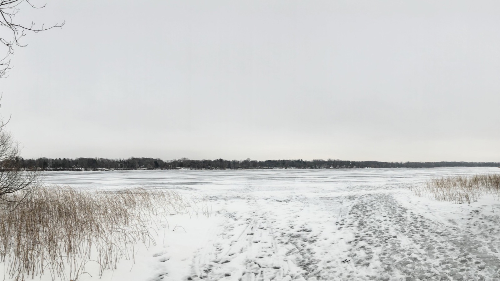 A frozen lake under flat grey winter light with dry reed beds along the near shore, bare branches at the left edge and a low wooded shoreline in the distance