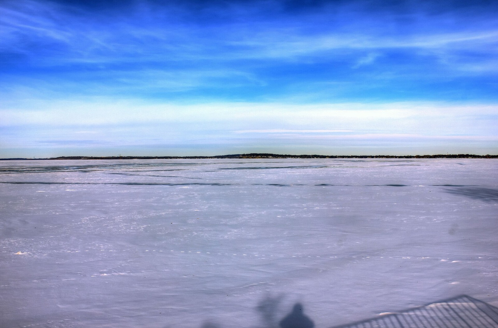 A frozen lake surface with wind scoured snow and a line of bare trees along the far shore at low sun