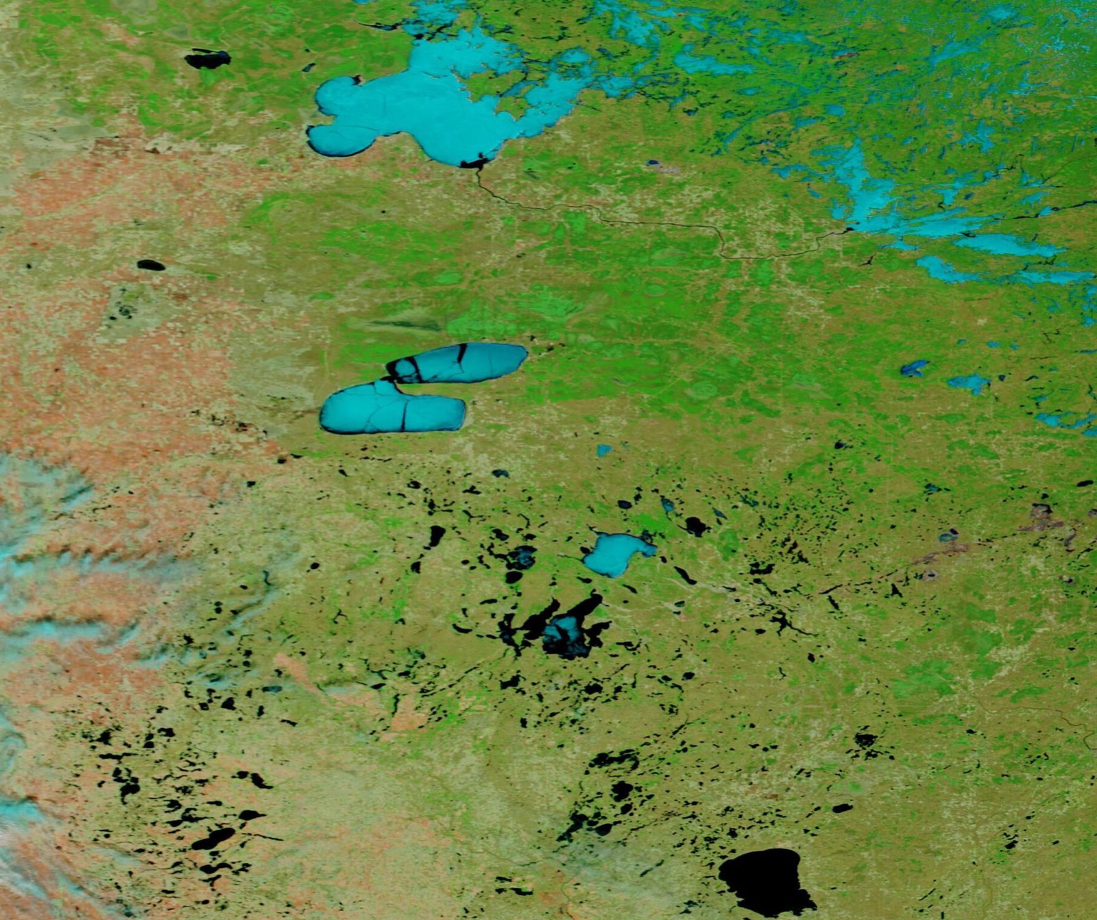 False colour satellite view of Minnesota in spring, with ice covered lakes showing as pale cyan and lakes that have already opened showing as black, against green and tan land