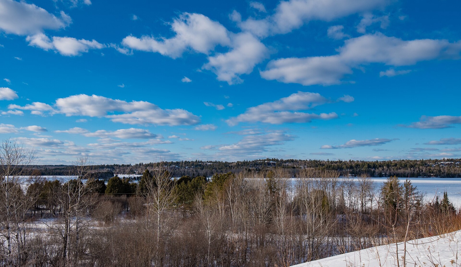 A snow covered frozen lake surrounded by bare trees and dark conifers under a pale winter sky