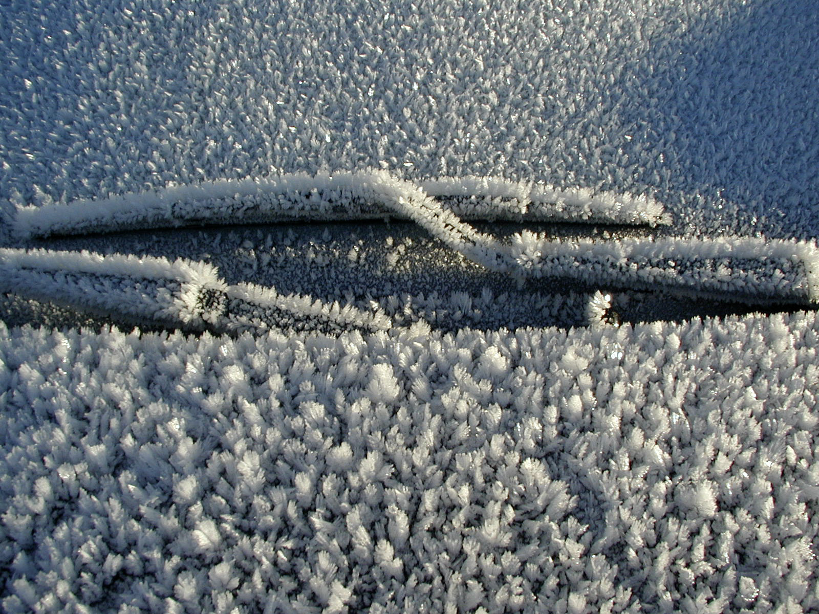 A close view of a car windscreen under heavy hoar frost, with feathered ice crystals standing up off the glass and the paint, and the wiper blades almost buried in them