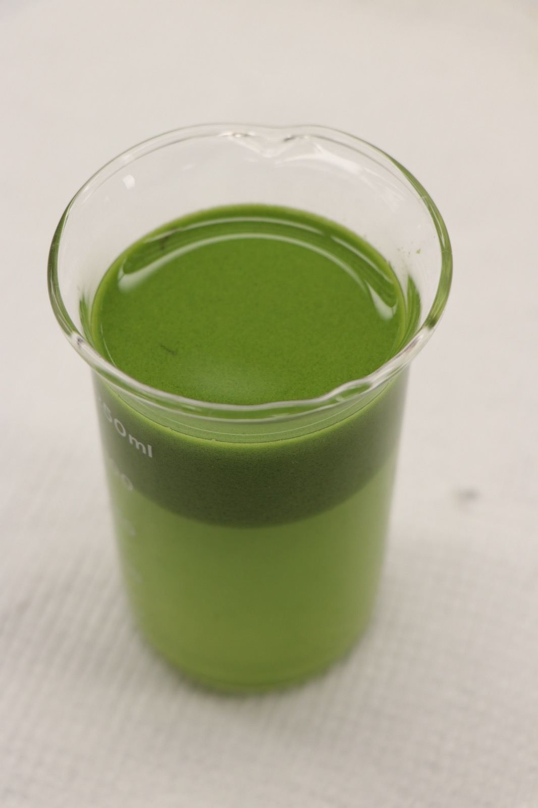 A laboratory beaker of opaque bright green Lake Erie water at the peak of a Microcystis bloom