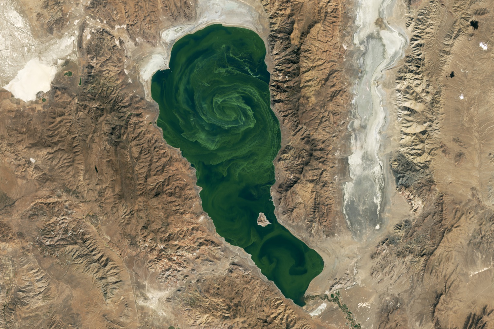Satellite view of Pyramid Lake, Nevada, filled with dark green swirling bands of a cyanobacteria bloom