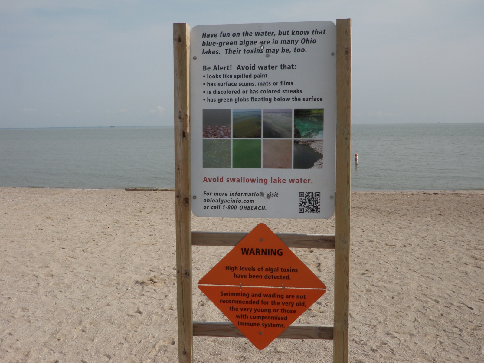 An Ohio beach sign describing blue-green algae with an orange warning placard saying high levels of algal toxins have been detected