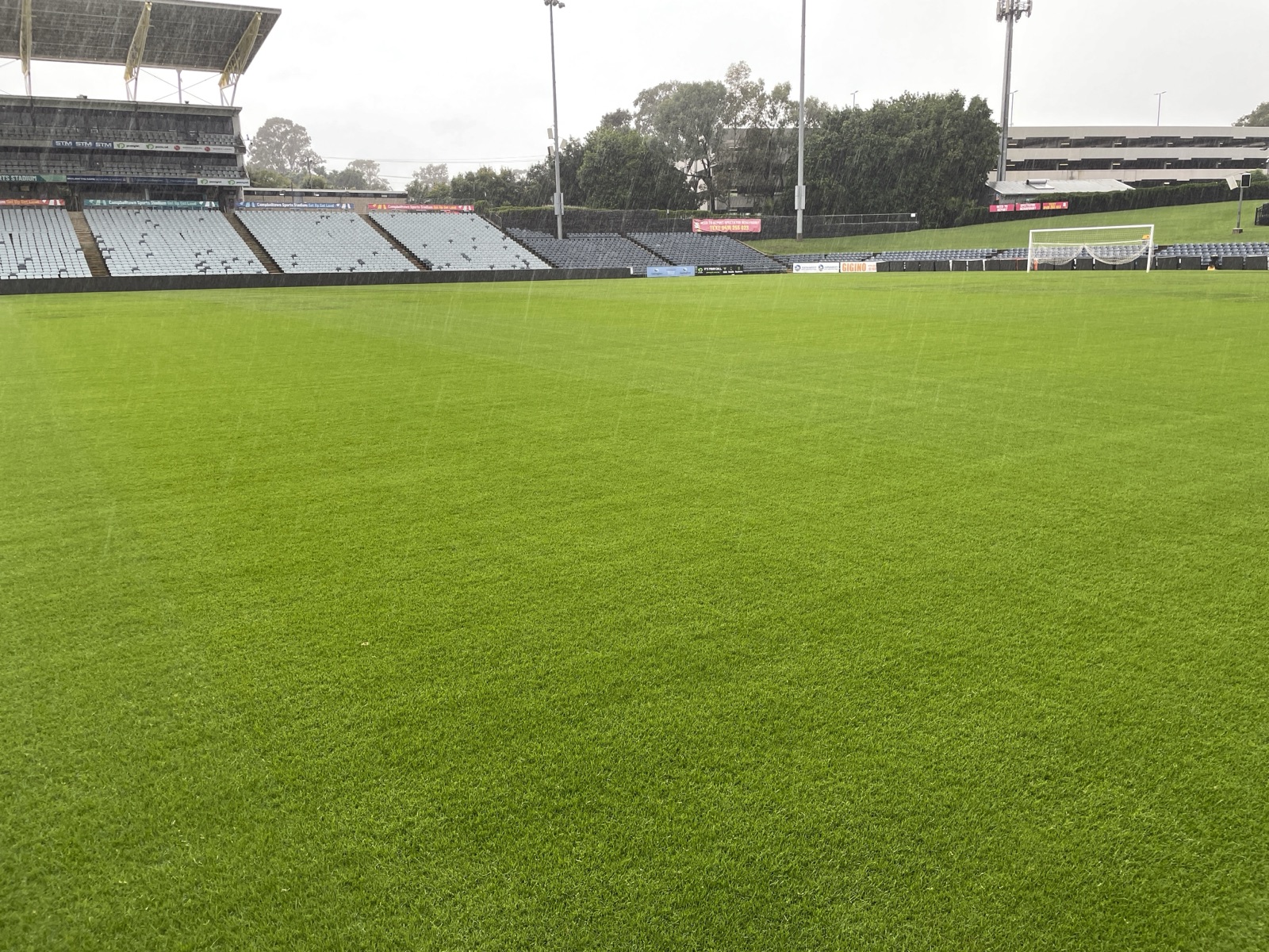 Bermudagrass lawn overseeded with perennial ryegrass
