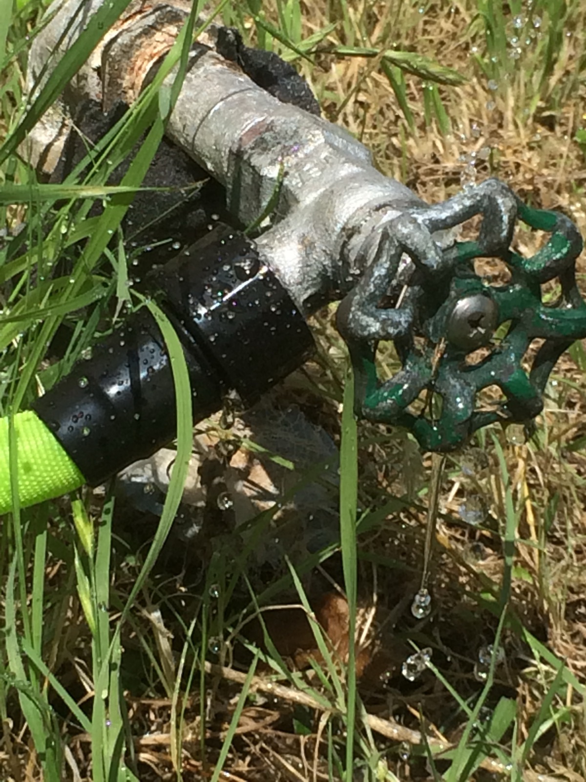 Sprinkler watering a lawn