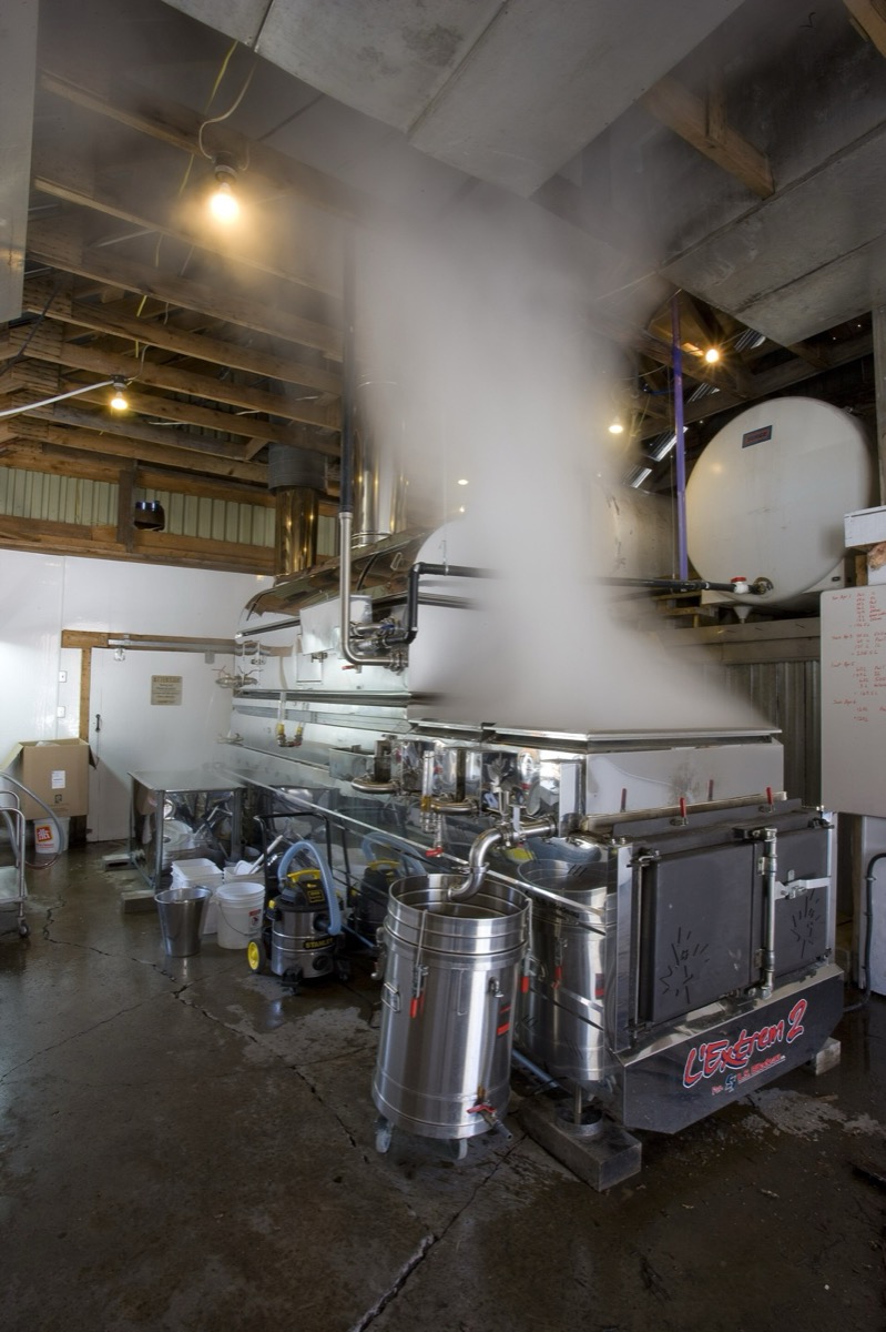 Steam rising from a stainless steel evaporator inside a sugarhouse