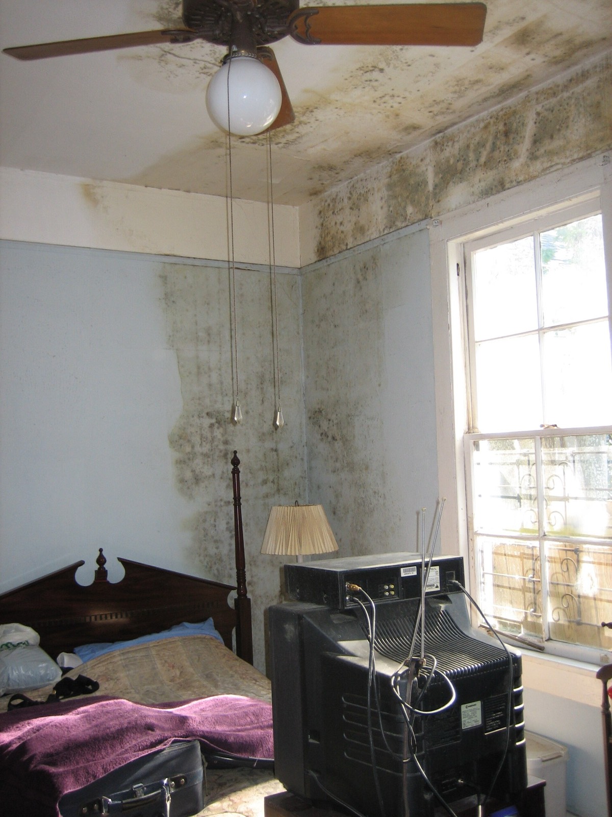 Bedroom in a New Orleans house with heavy mold staining across the ceiling, the cornice and the upper walls, and a window air conditioner in the foreground