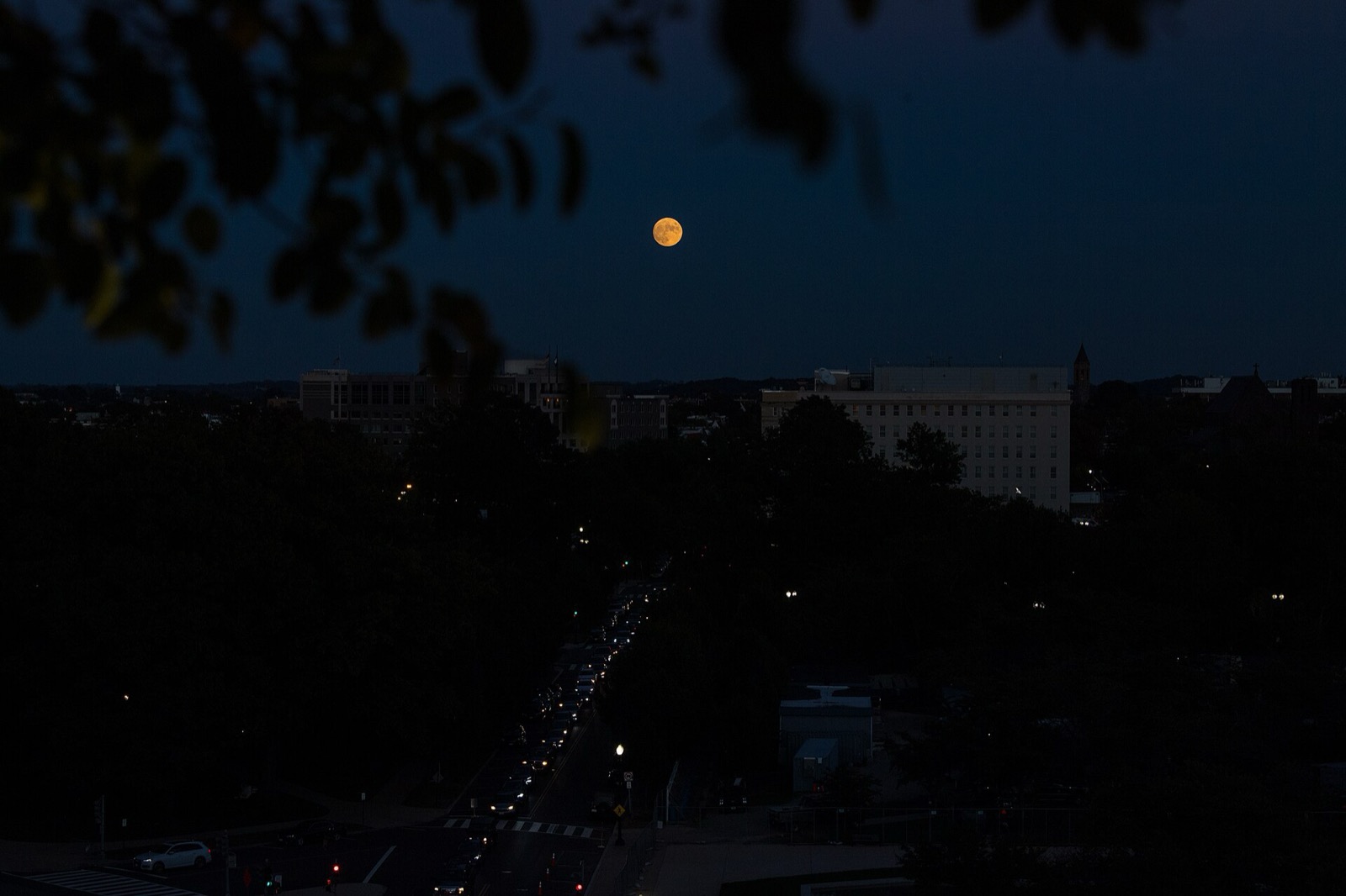 An orange moon low over a dusk street in Washington, D.C., with leaves framing the top left of the picture