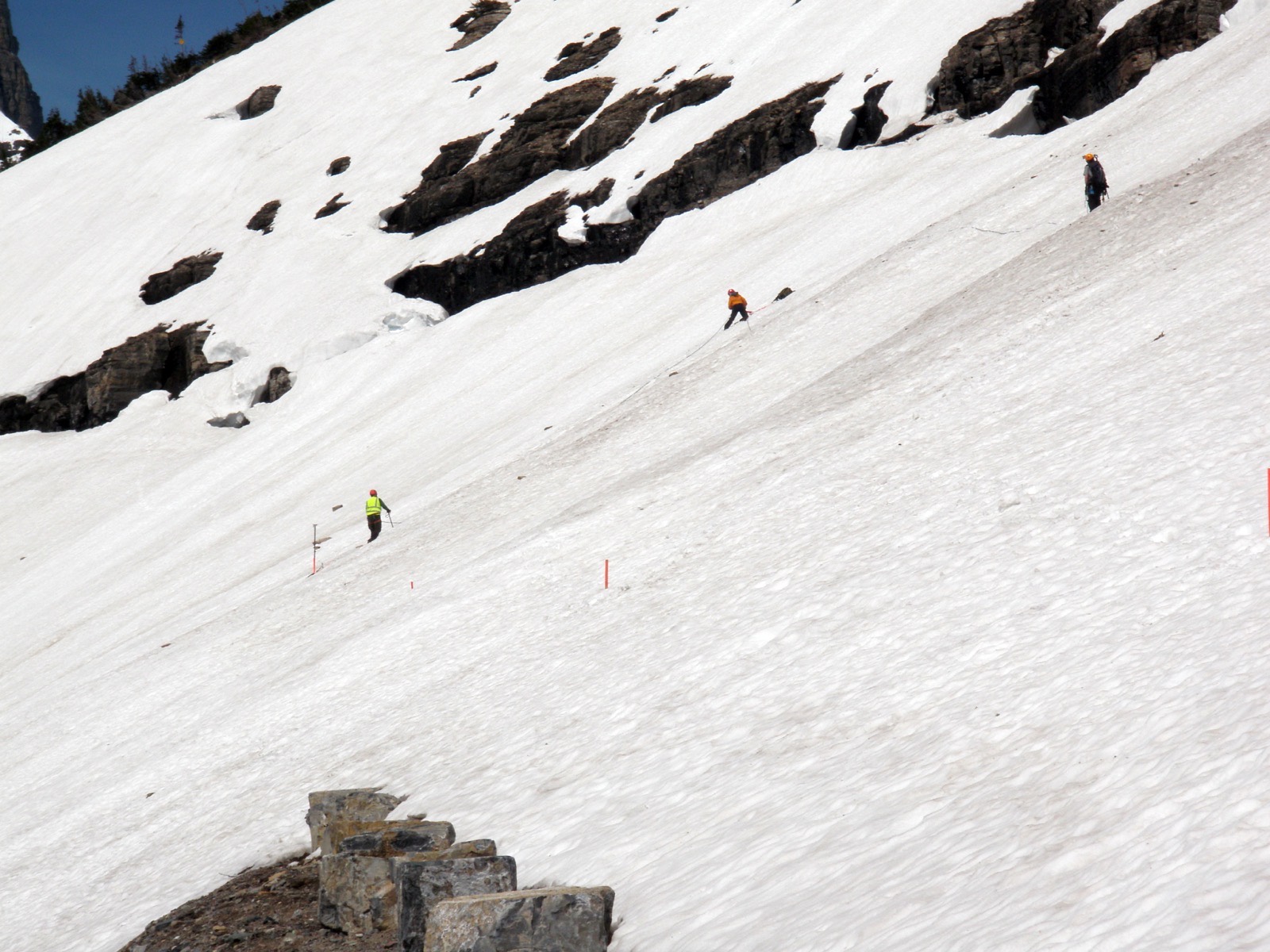 Two road crew members roped together and walking across a steep snowfield with survey stakes, above Going-to-the-Sun Road at Logan Pass