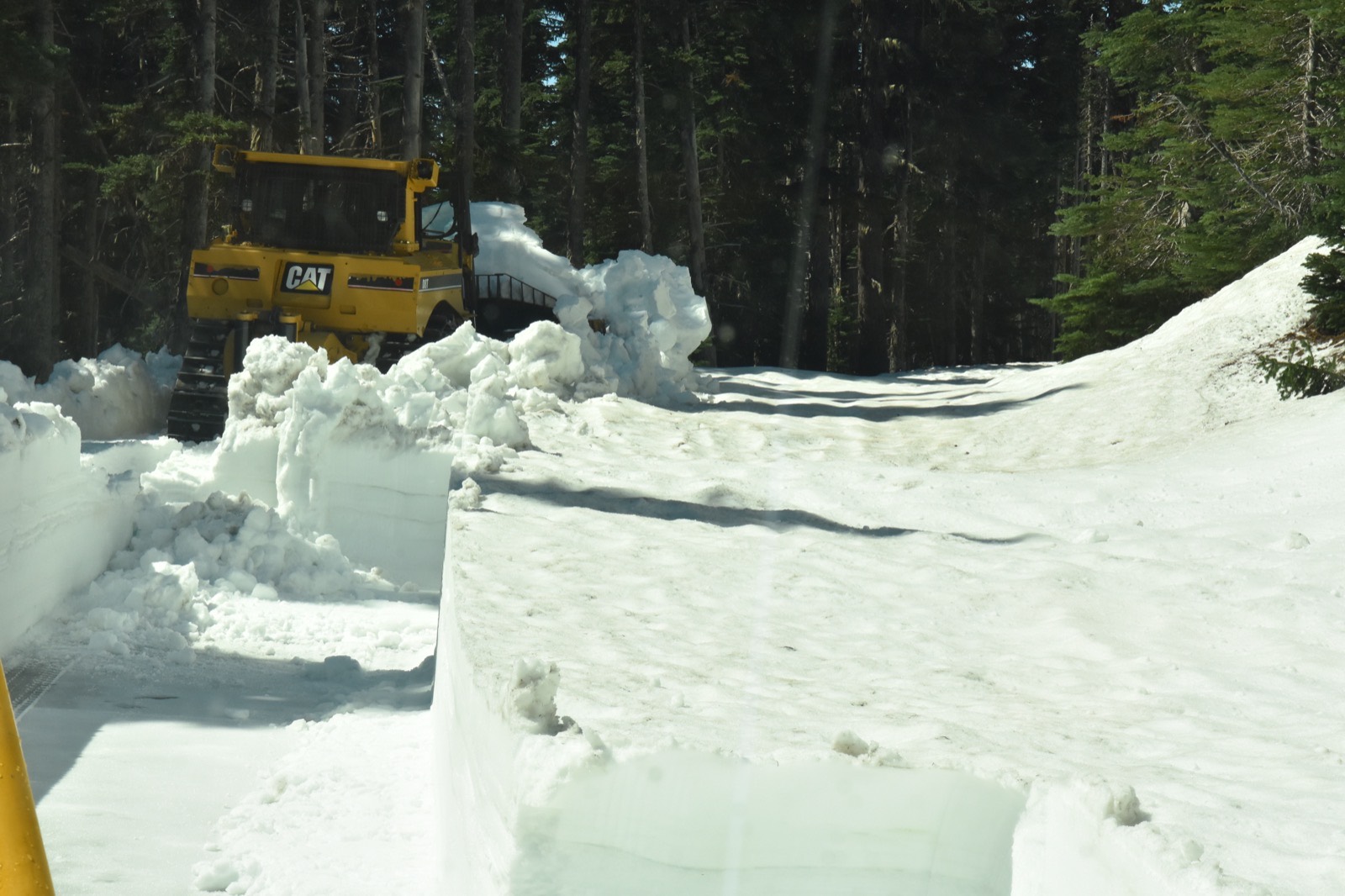 A tracked bulldozer cutting through deep snow walls on the Sunrise Road in Mount Rainier National Park, surrounded by conifers