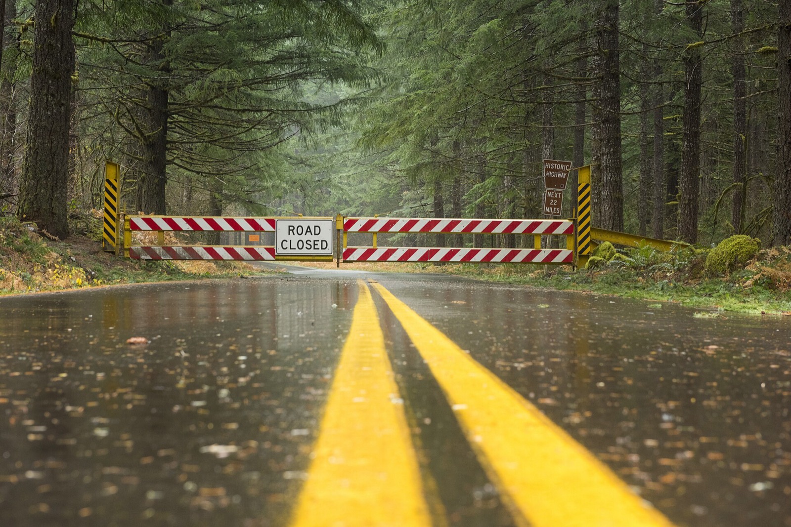 A red and white striped gate padlocked shut across a two lane forest highway with a ROAD CLOSED sign at its centre, photographed at road level along the wet double yellow line