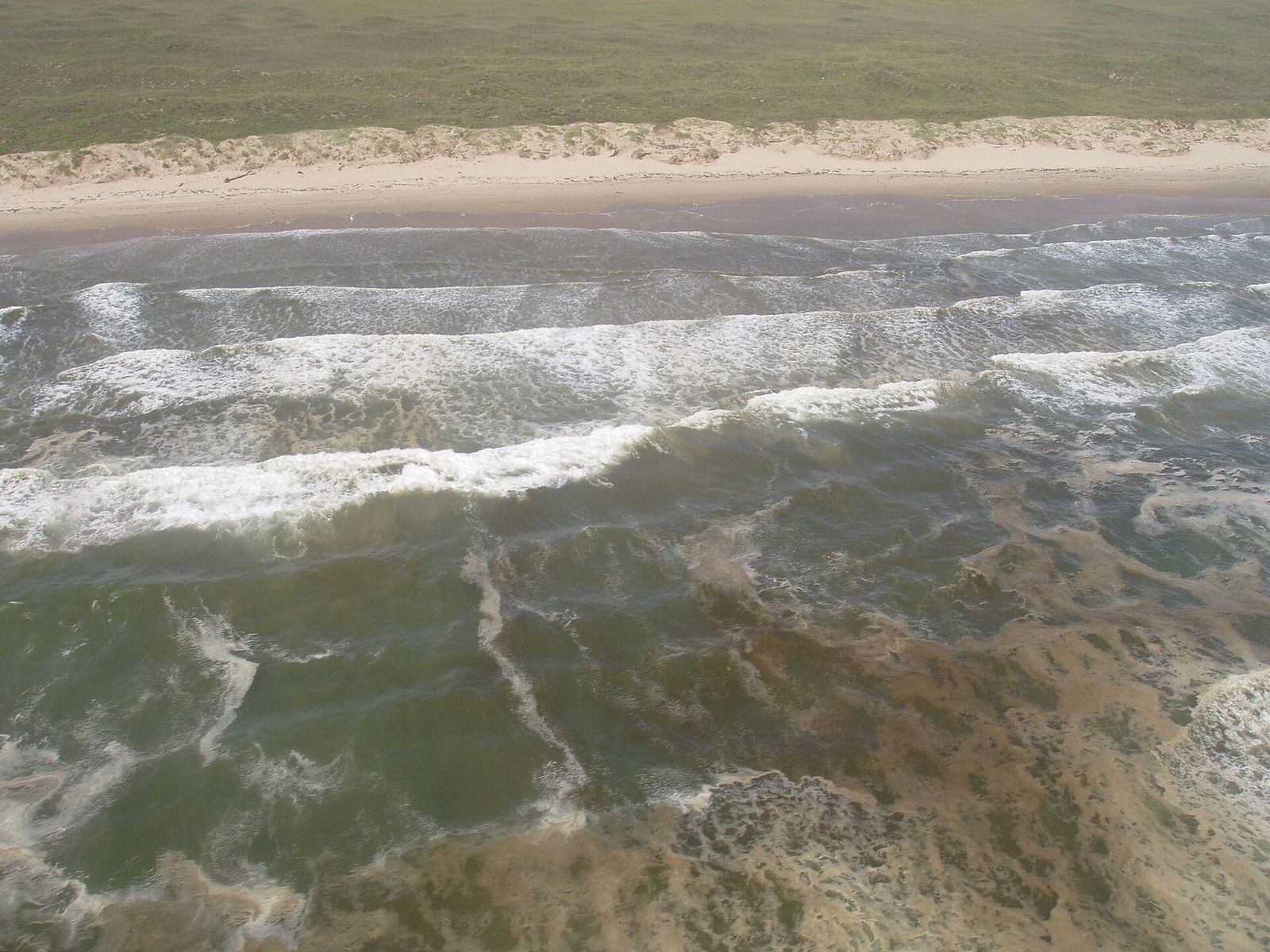 Aerial view down onto a surf zone where brown and rust stained water streaks through the breaking waves and leaves a dark stain along the wet sand