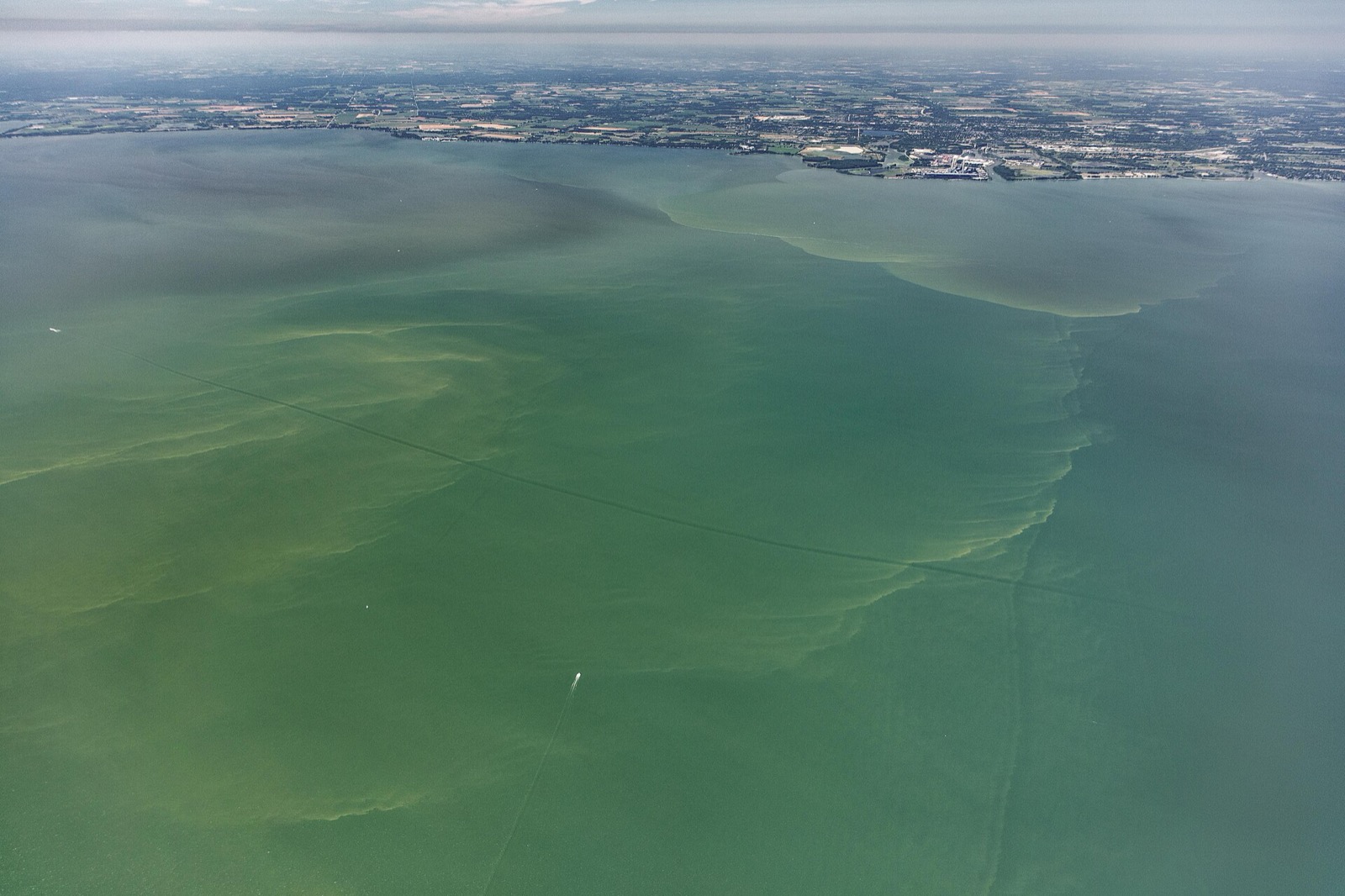 Aerial view of a large lake with a vivid green algal bloom filling the foreground and a sharp front where it meets clearer water, with farmland and a city on the far shore