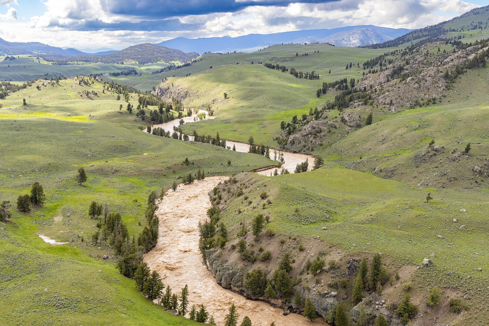 A mountain river running brown and far out of its channel through a green valley