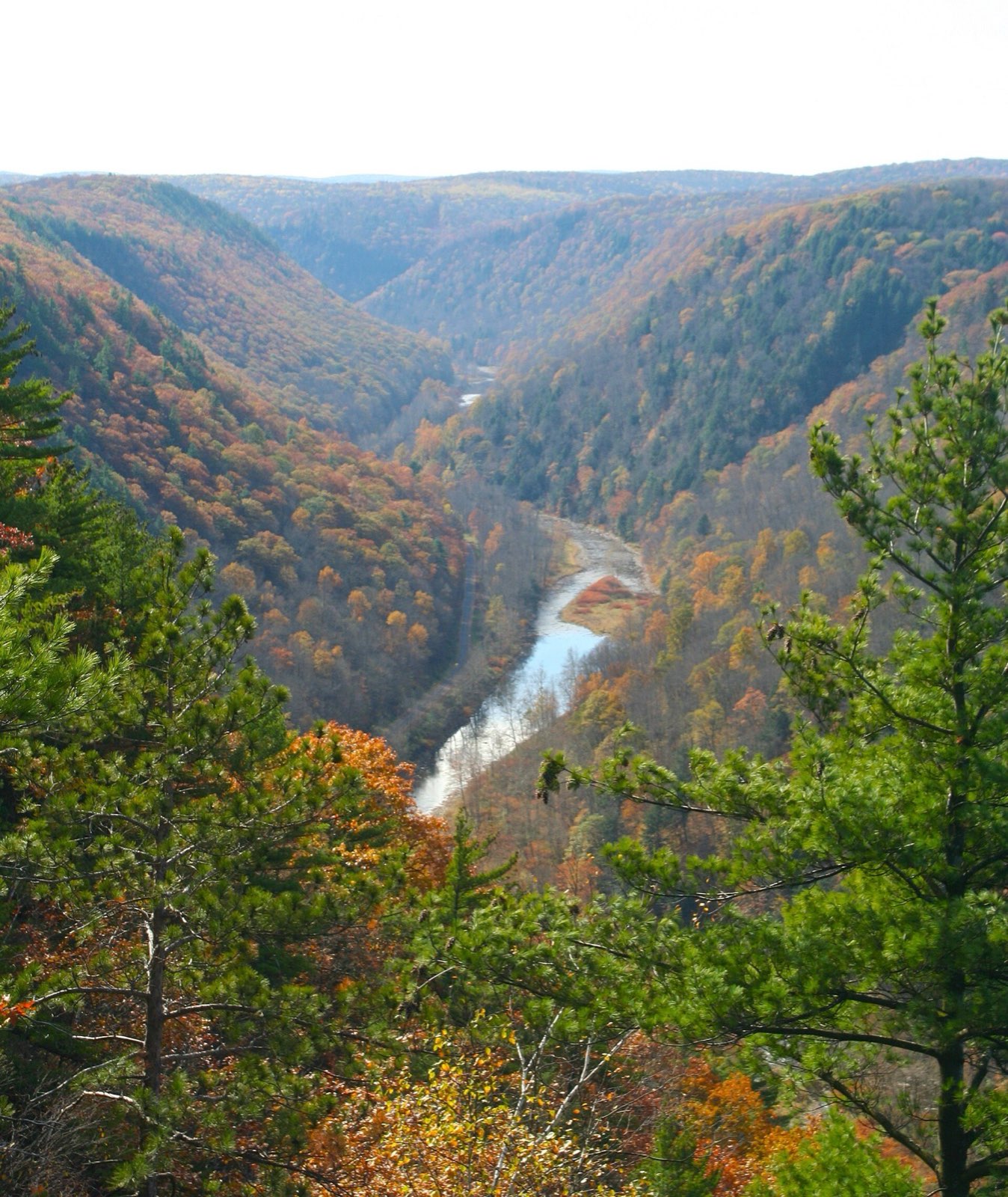Pine Creek Gorge — the Pennsylvania Grand Canyon — in full fall color