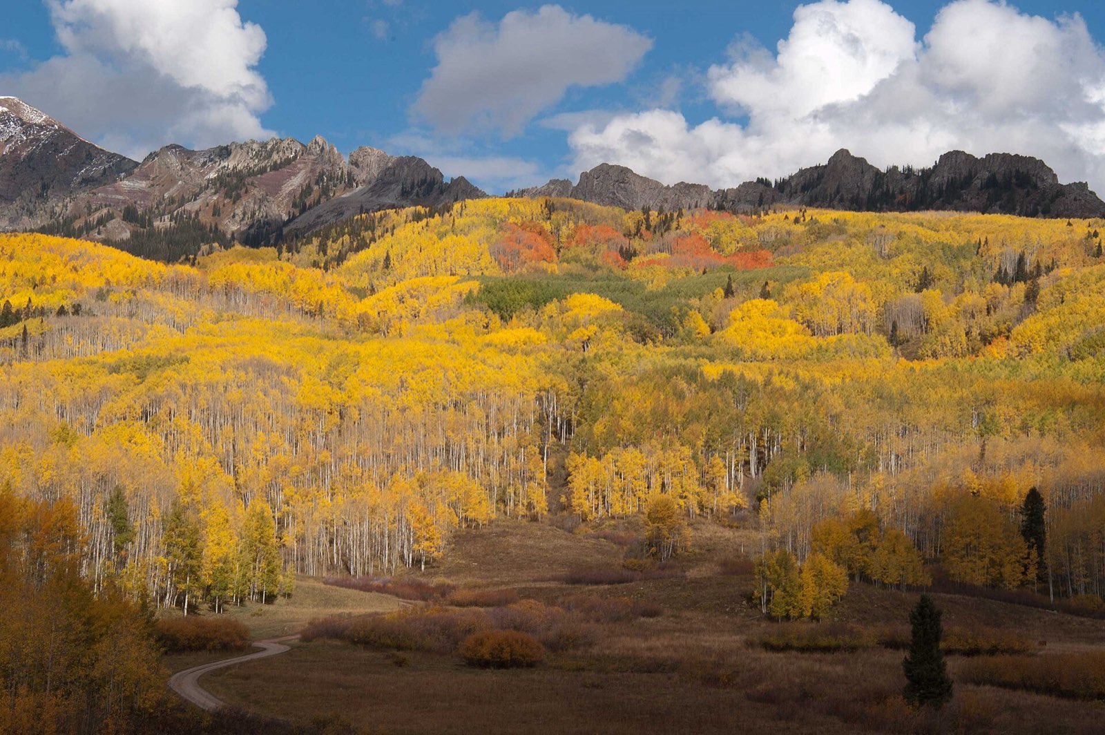 Golden aspen sweeping up to the Ruby Range near Kebler Pass