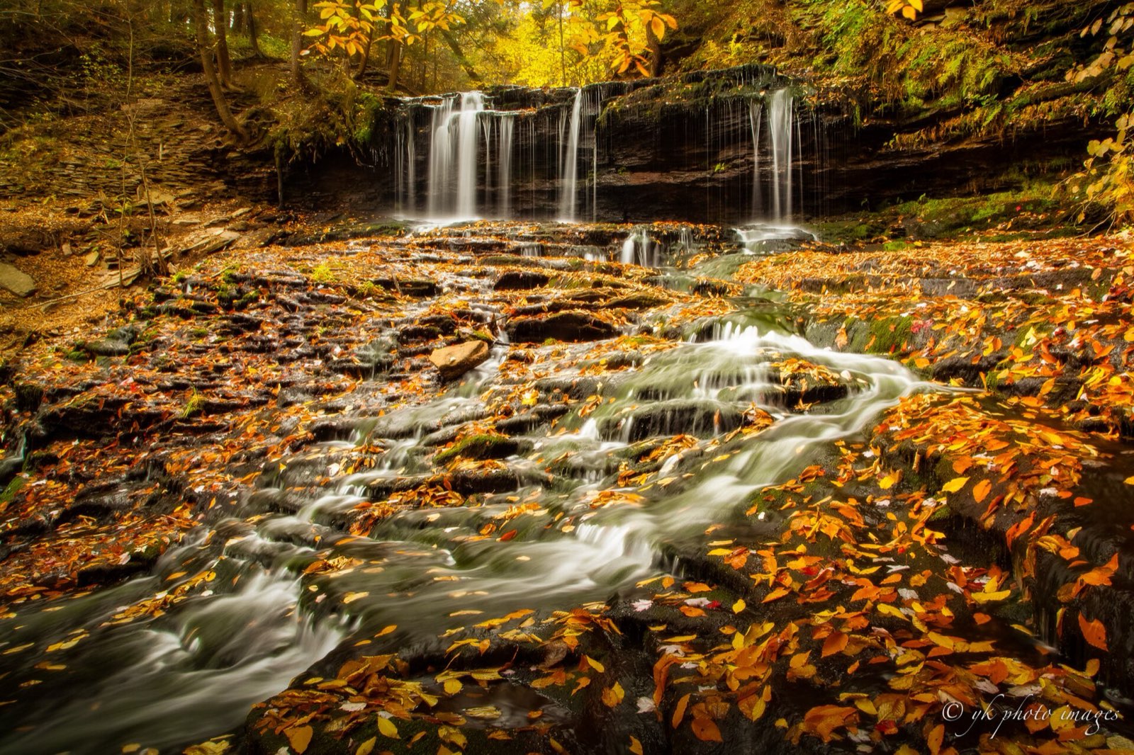 Waterfall over leaf-covered ledges in the Pennsylvania autumn woods