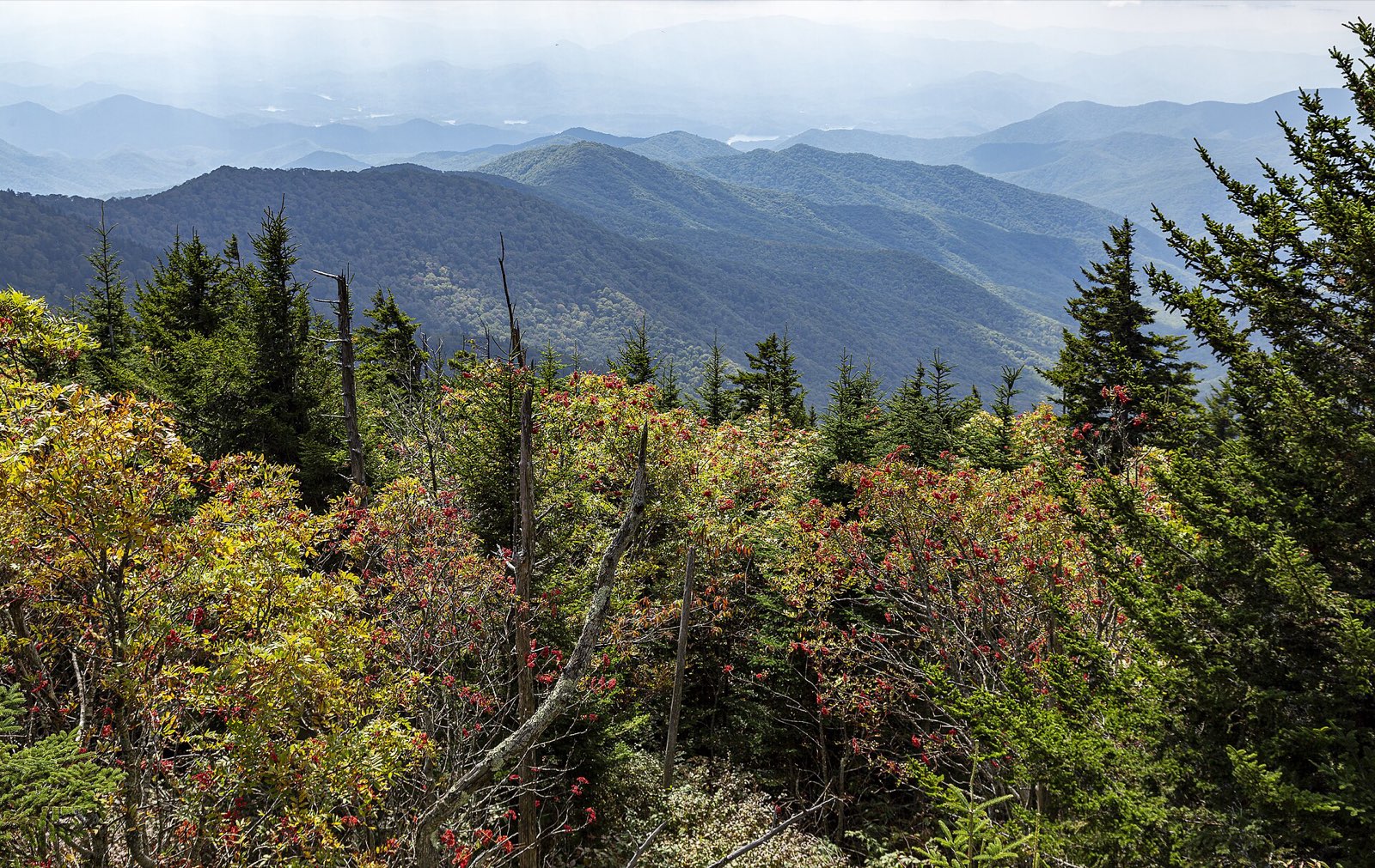 Ridgelines fading east from Clingmans Dome