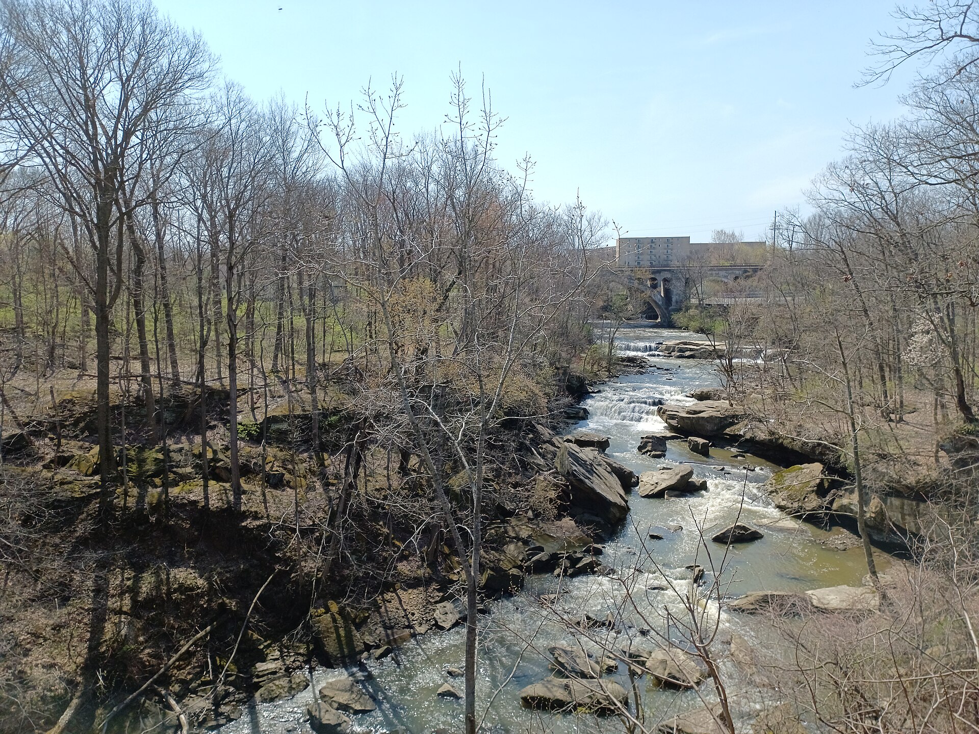 A shallow river dropping over a series of low shale ledges between bare trees in early spring