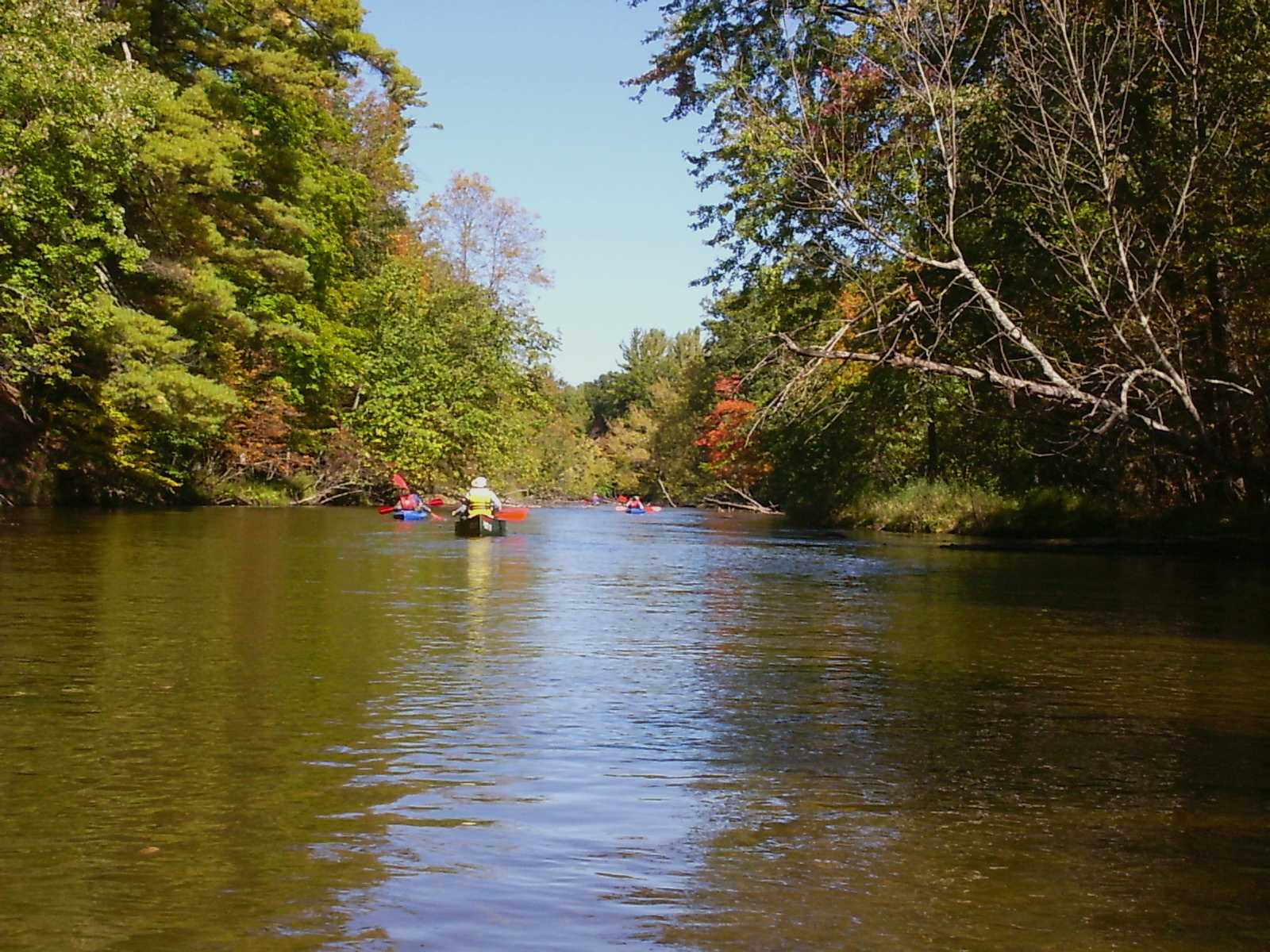 A canoe and two kayaks drifting down a narrow river between wooded banks touched with autumn colour